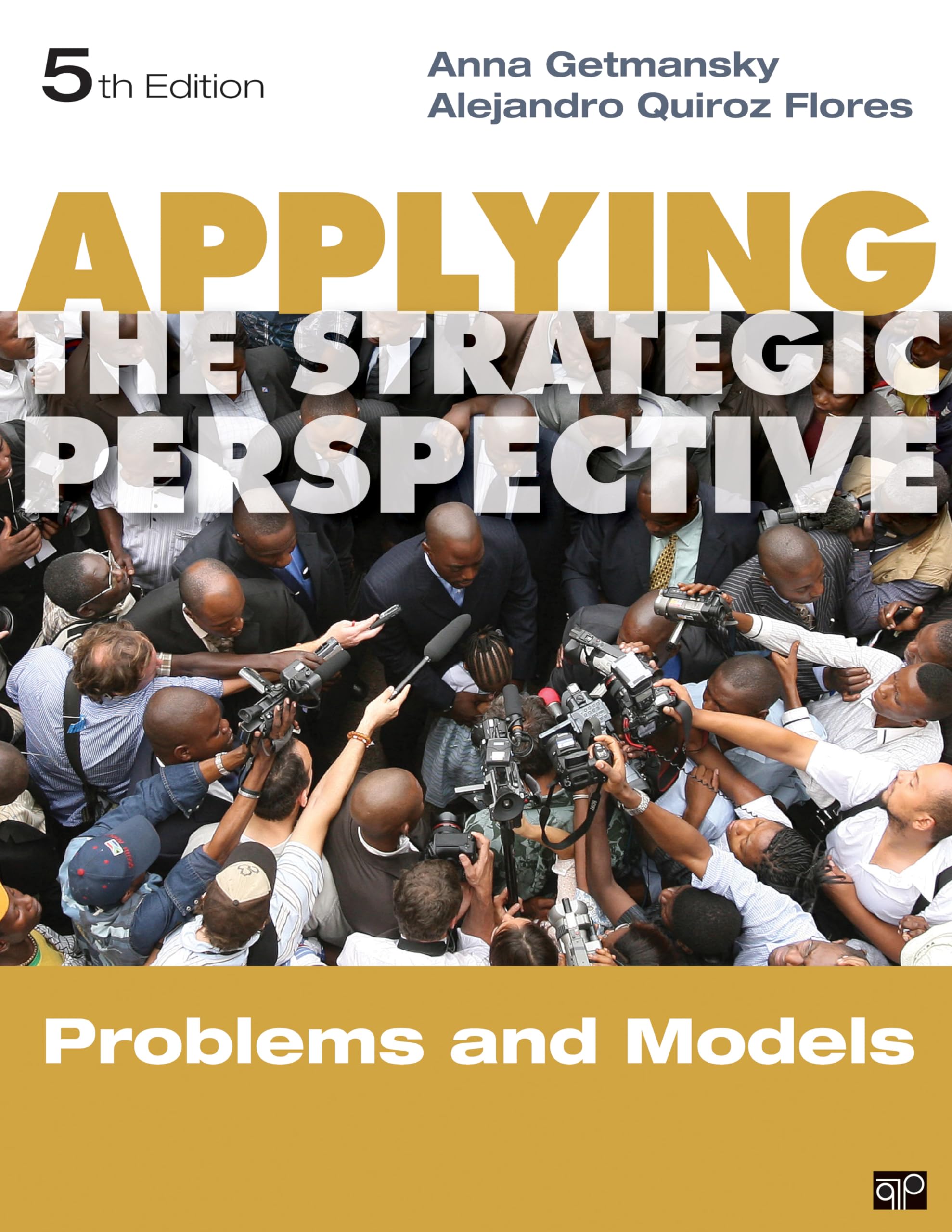 Applying the Strategic Perspective: Problems and Models, Workbook (Principles of International Politics),Used