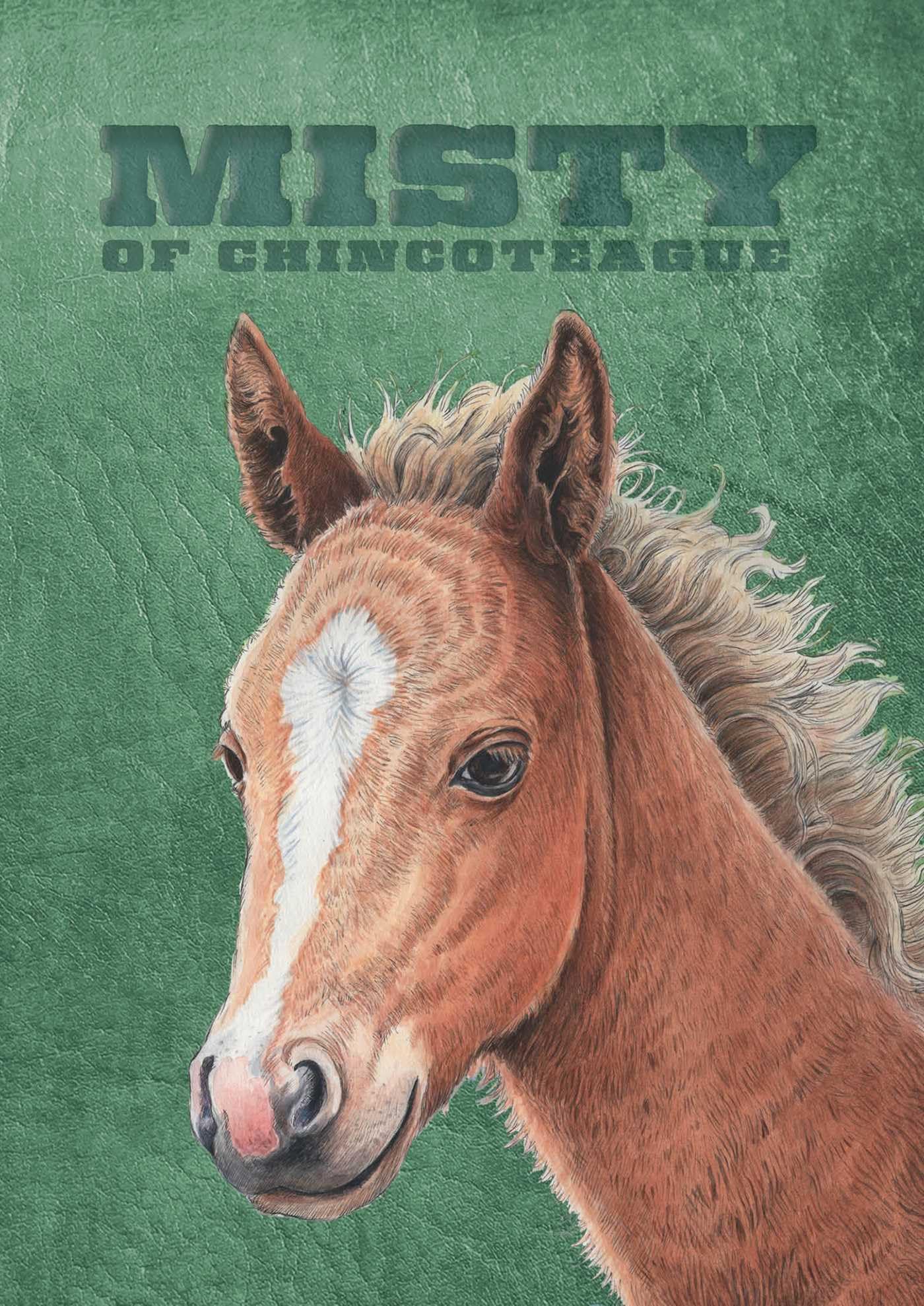 Misty of Chincoteague: Special Edition,New