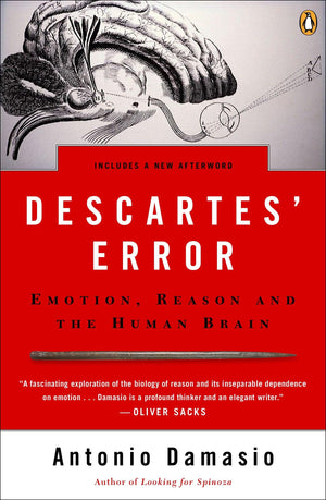 Descartes' Error: Emotion, Reason, And The Human Brain,Used