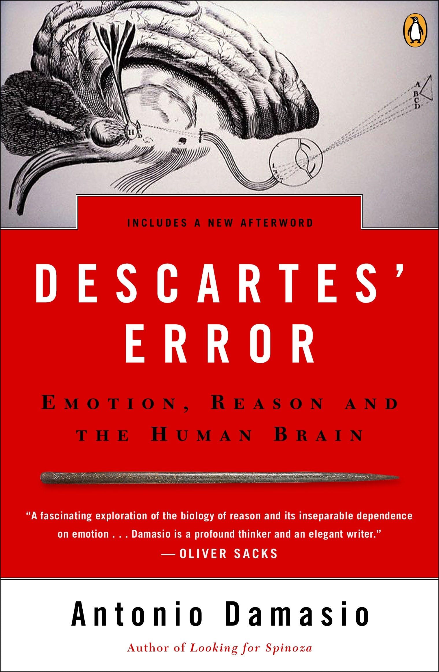 Descartes' Error: Emotion, Reason, And The Human Brain