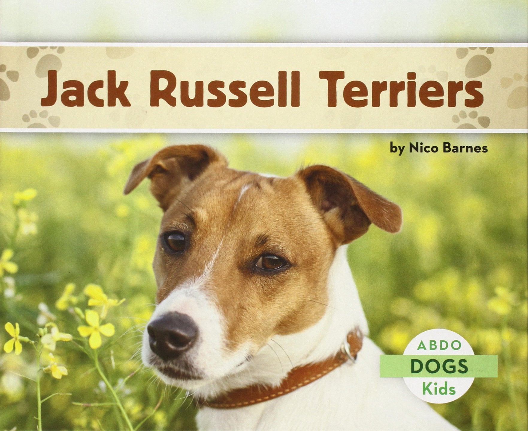 Jack Russell Terriers (Dogs),Used