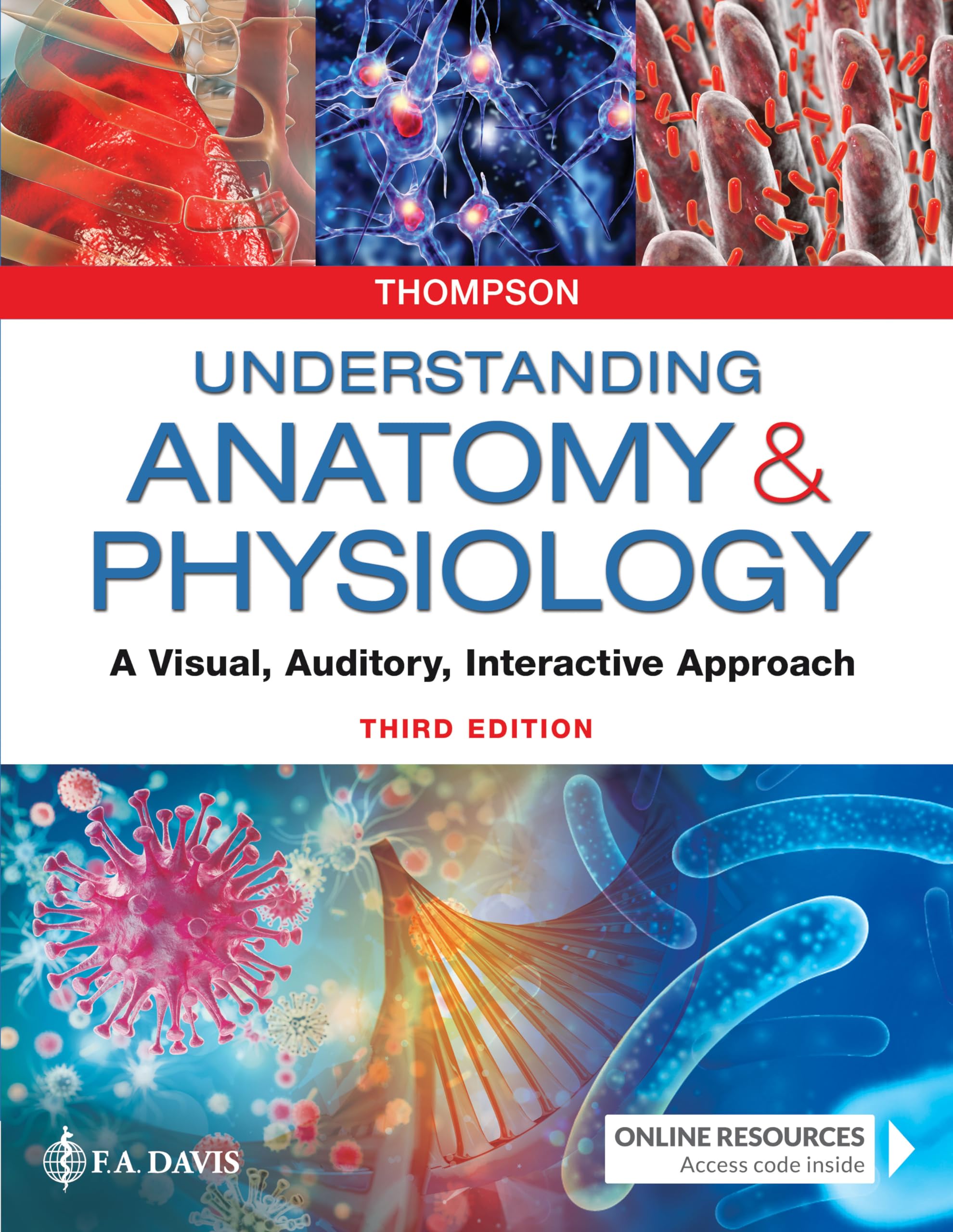 Understanding Anatomy & Physiology: A Visual, Auditory, Interactive Approach,Used
