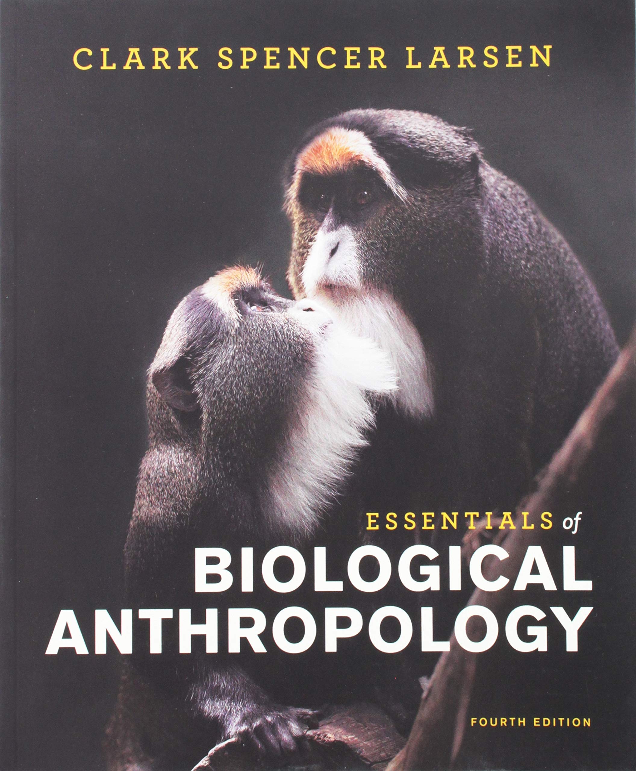 Essentials Of Biological Anthropology-used