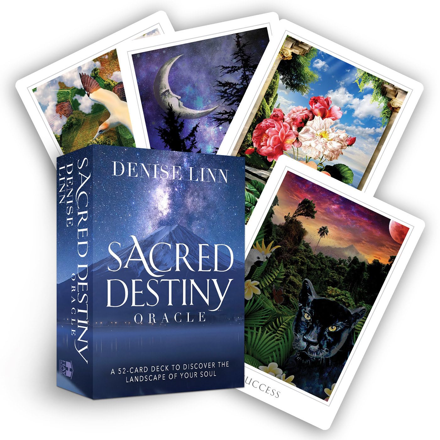 Sacred Destiny Oracle: A 52Card Deck to Discover the Landscape of Your Soul,Used