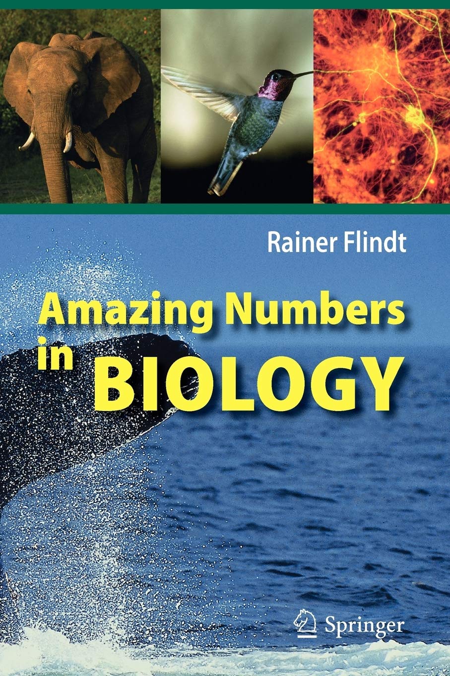 Amazing Numbers in Biology,New