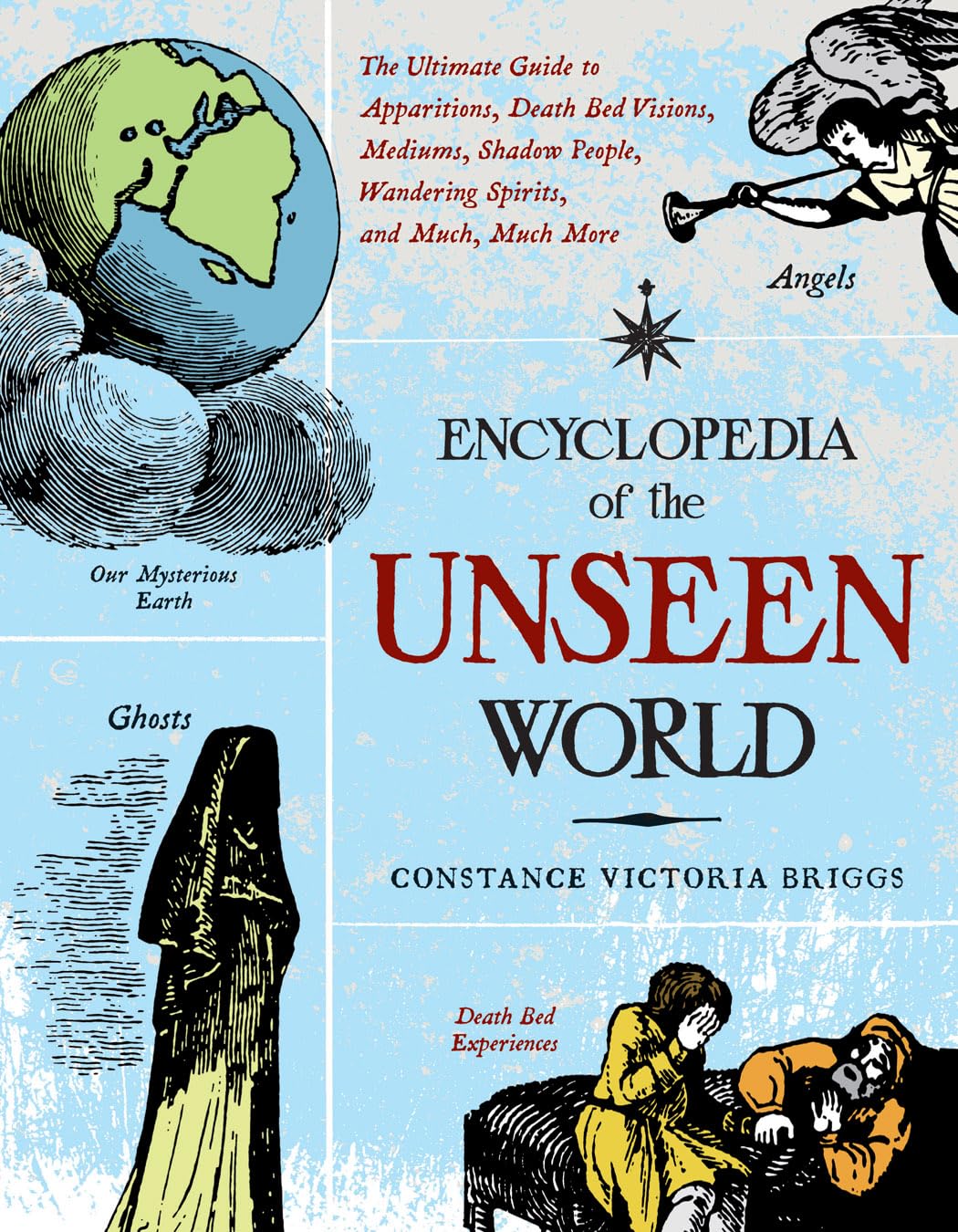 Encyclopedia of the Unseen World: The Ultimate Guide to Apparitions, Death Bed Visions, Mediums, Shadow People, Wandering Spirit,Used
