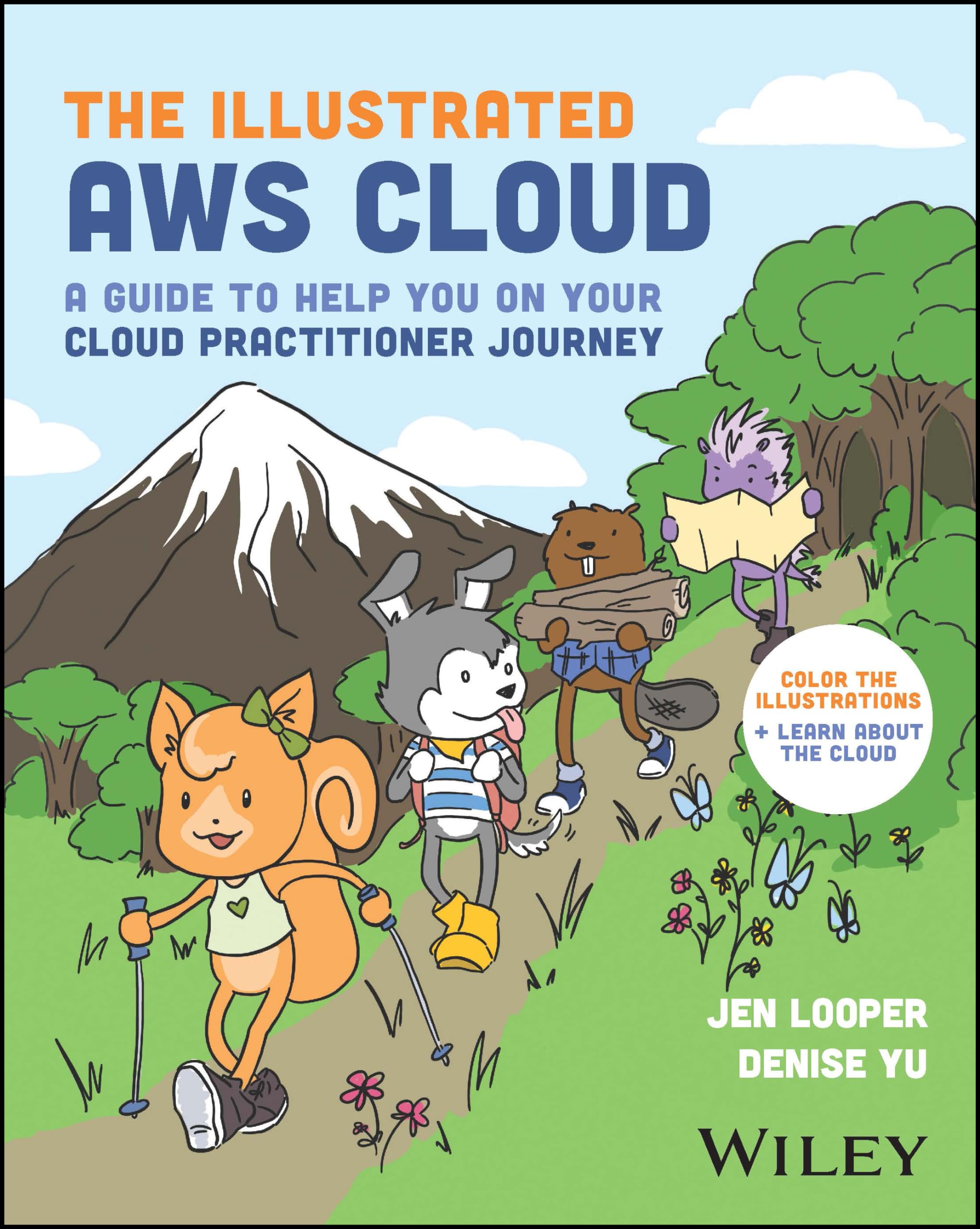 The Illustrated Aws Cloud: A Guide To Help You On Your Cloud Practitioner Journey,Used