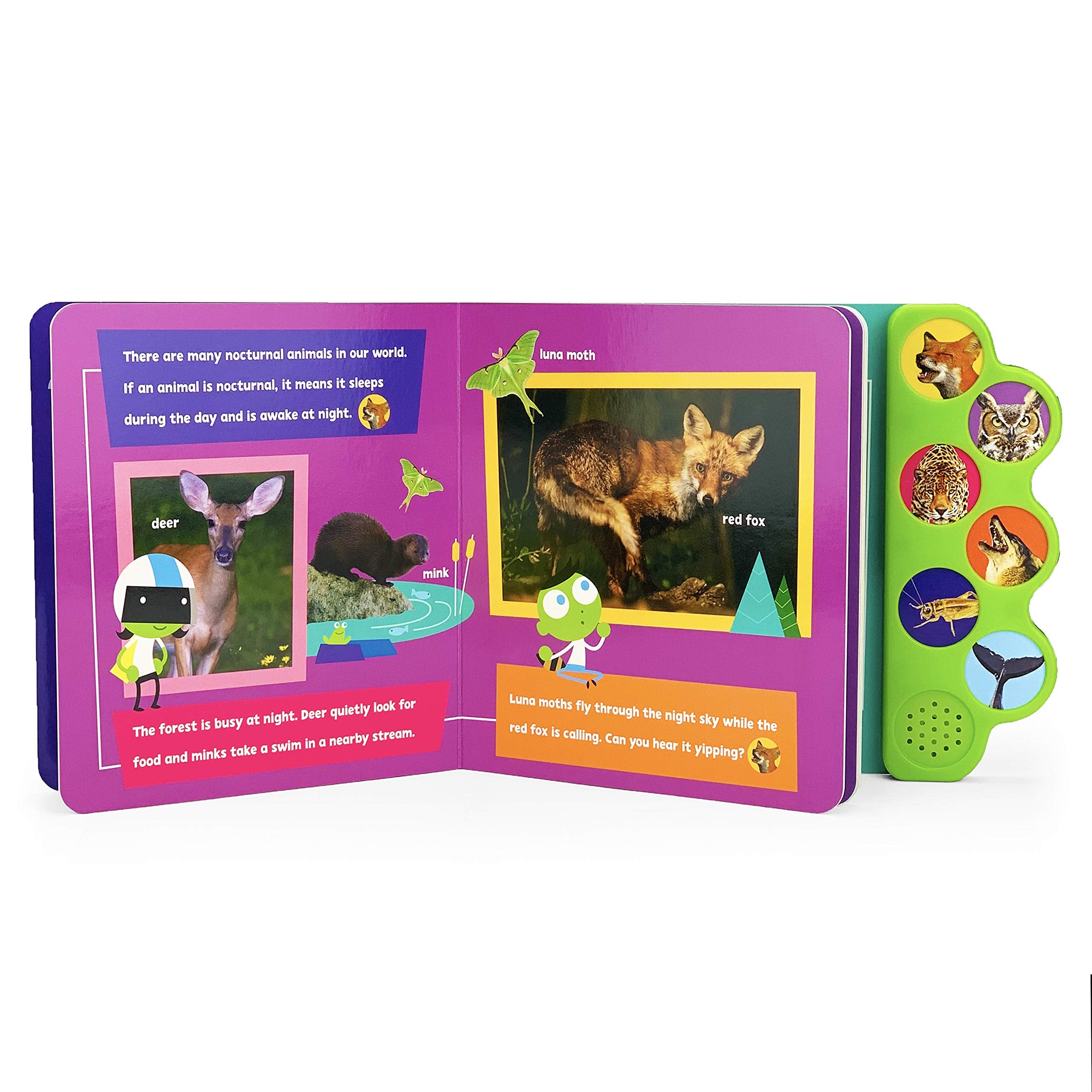Animals at Night (PBS Kids)