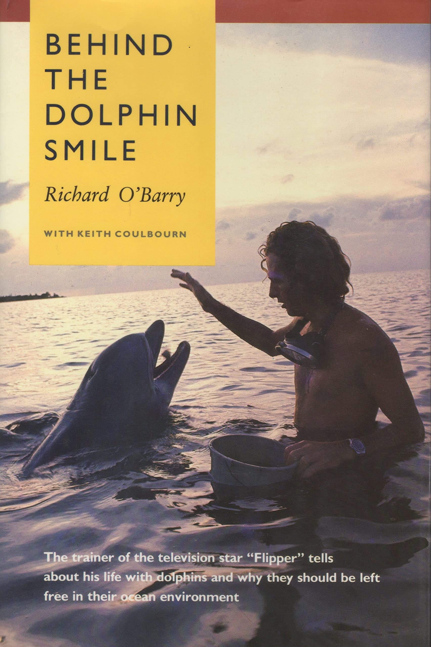 Behind the Dolphin Smile,Used
