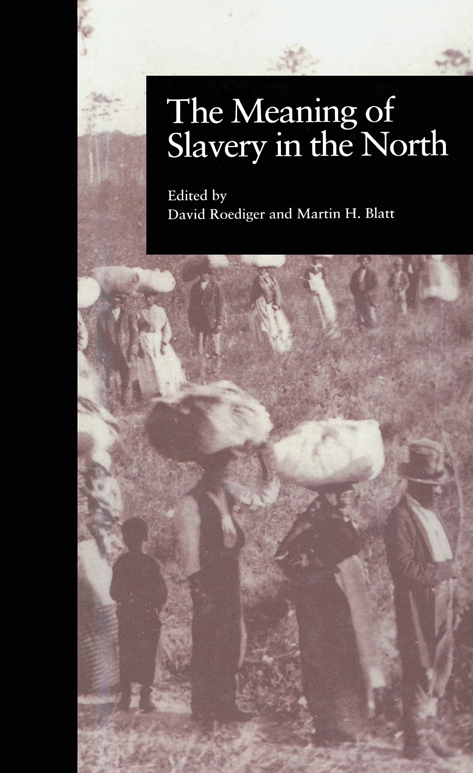 The Meaning Of Slavery In The North (Labor In America),Used