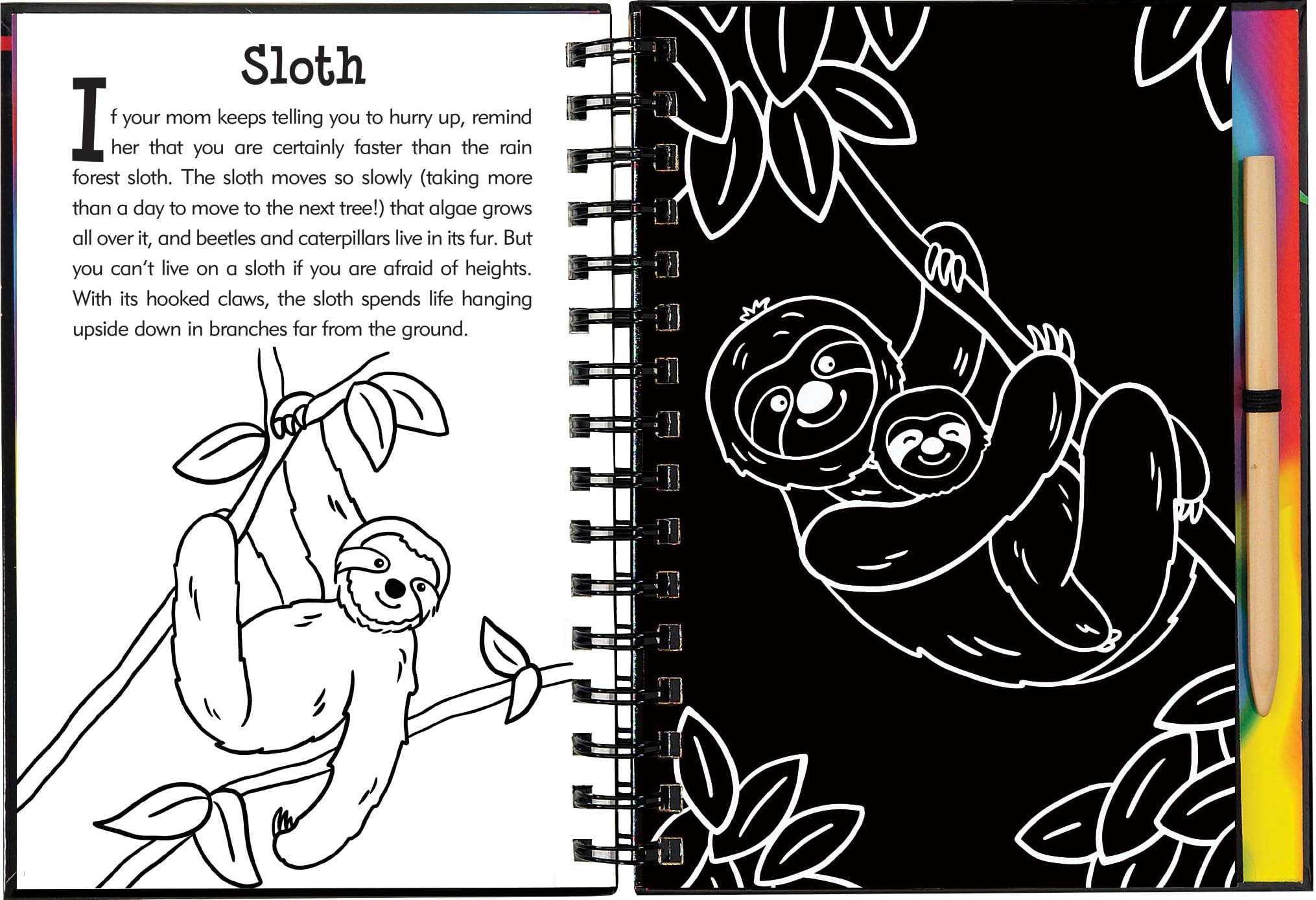 Scratch & Sketch Rain Forest (Trace Along),Used