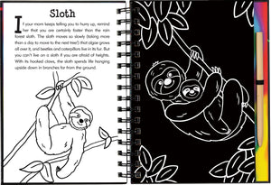 Scratch & Sketch Rain Forest (Trace Along),Used