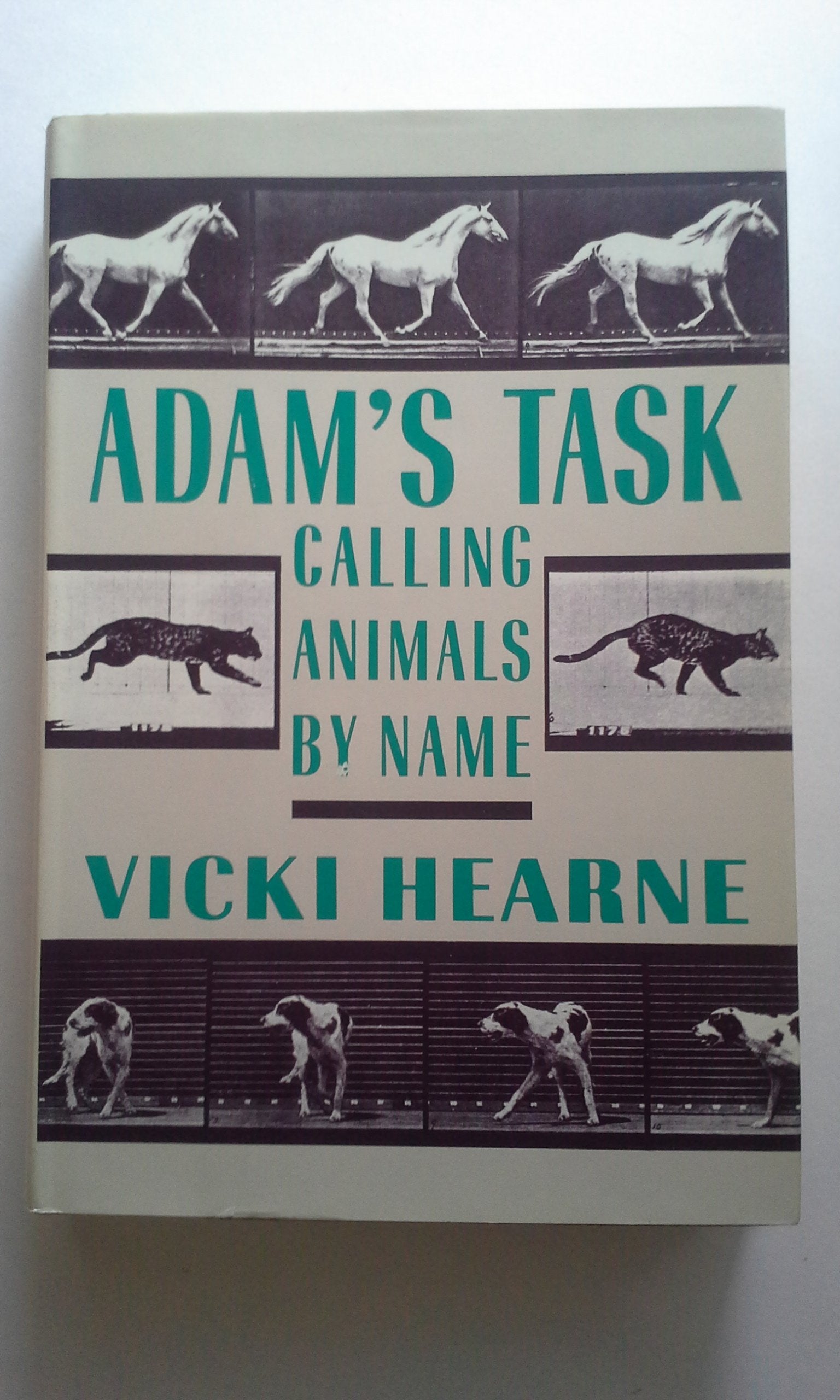 Adam'S Task: Calling Animals By Name