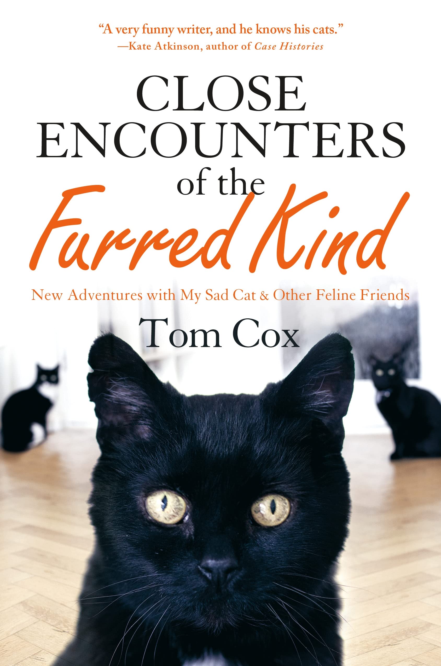 Close Encounters of the Furred Kind: New Adventures with My Sad Cat & Other Feline Friends,Used