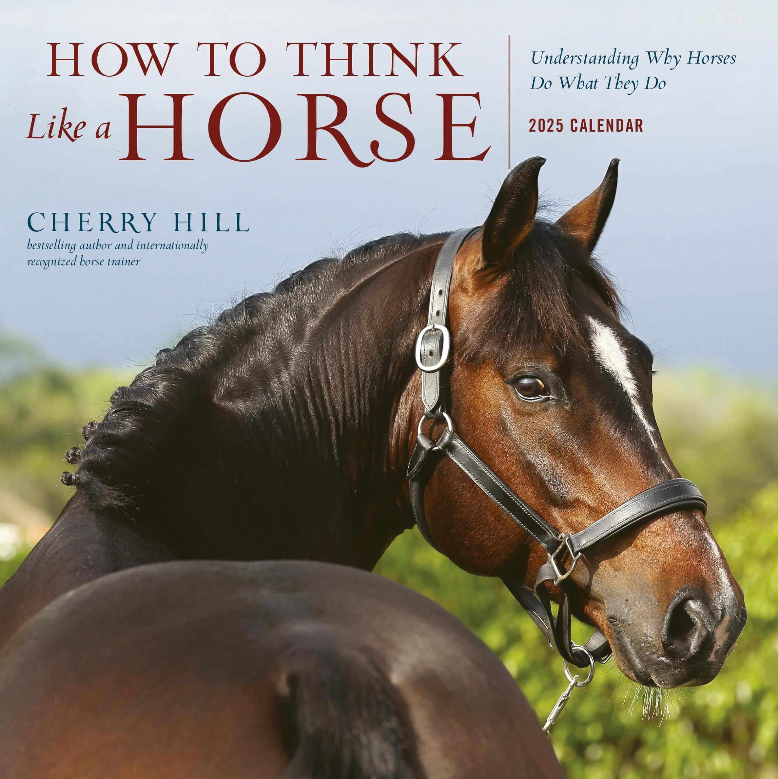 How To Think Like A Horse Wall Calendar 2025: Understanding Why Horses Do What They Do