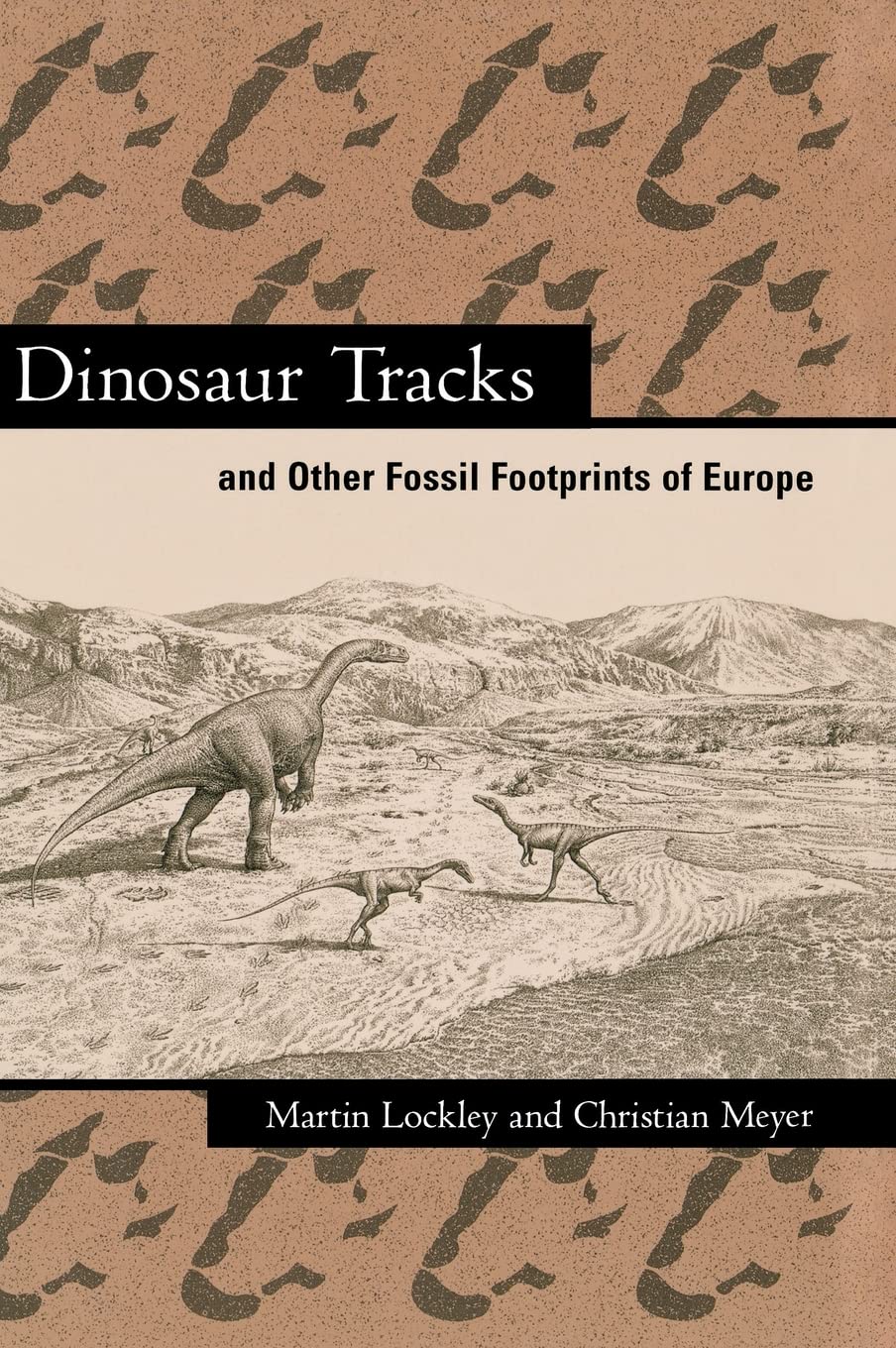 Dinosaur Tracks And Other Fossil Footprints Of Europe,New