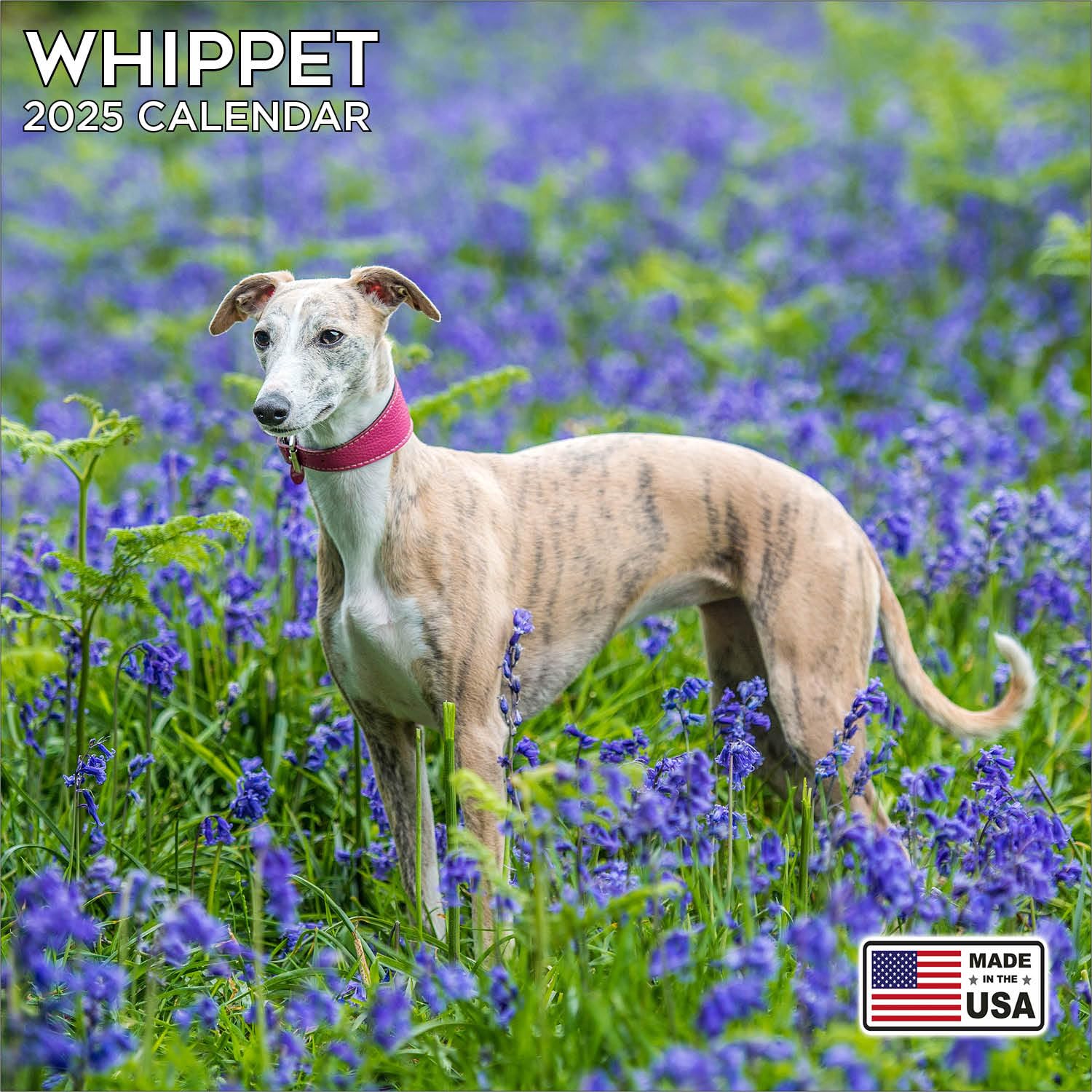 2025 Whippet Calendar  Dog Breed Wall Calendar  12 x 24 Open  Thick NoBleed Paper  14 Month Planner Calendar Organizing & P