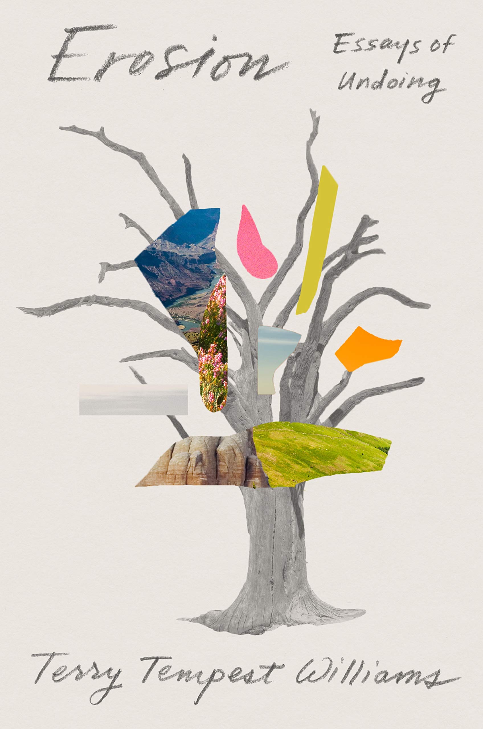 Erosion: Essays of Undoing,New