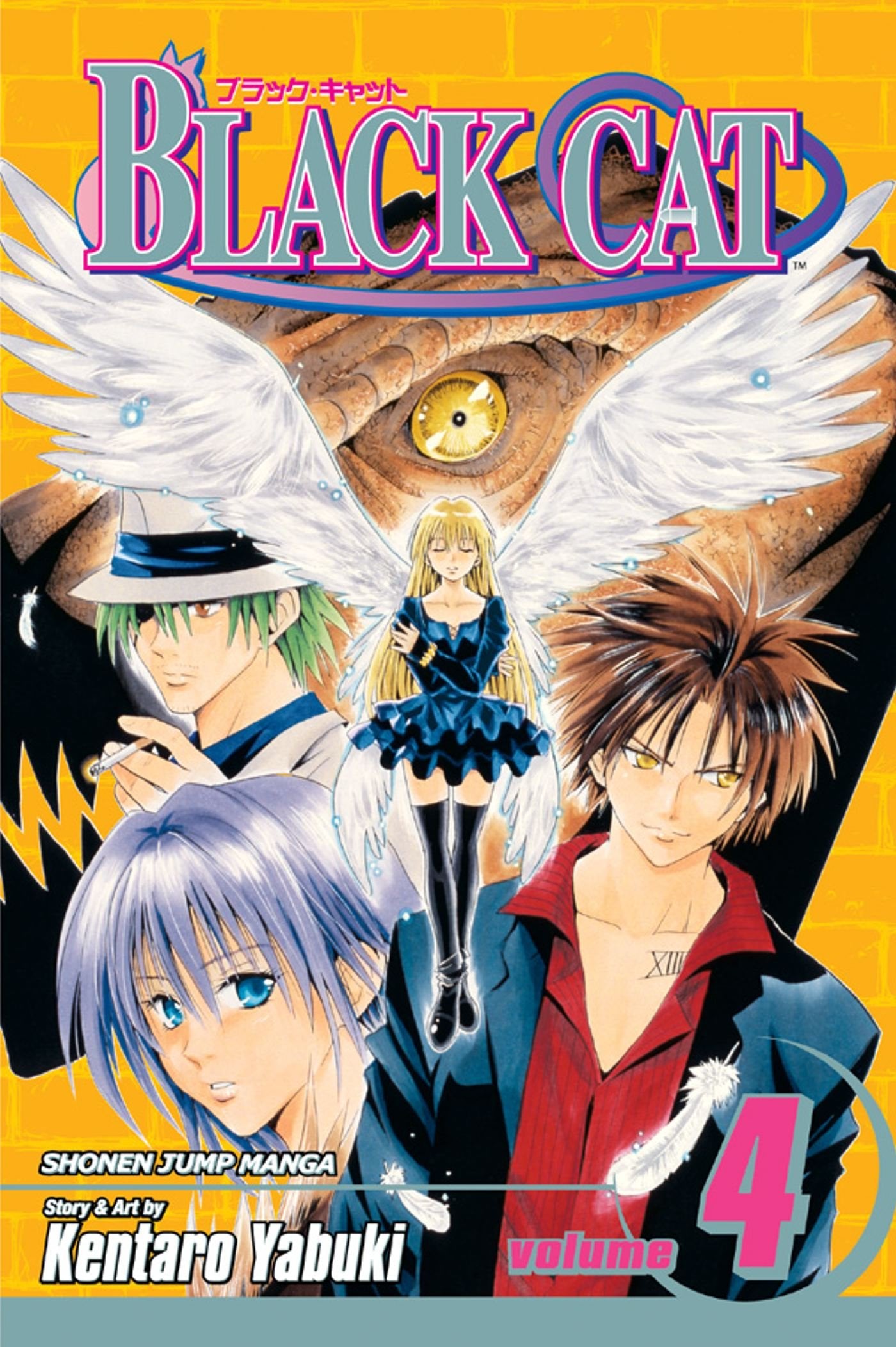 Black Cat, Vol. 4,Used