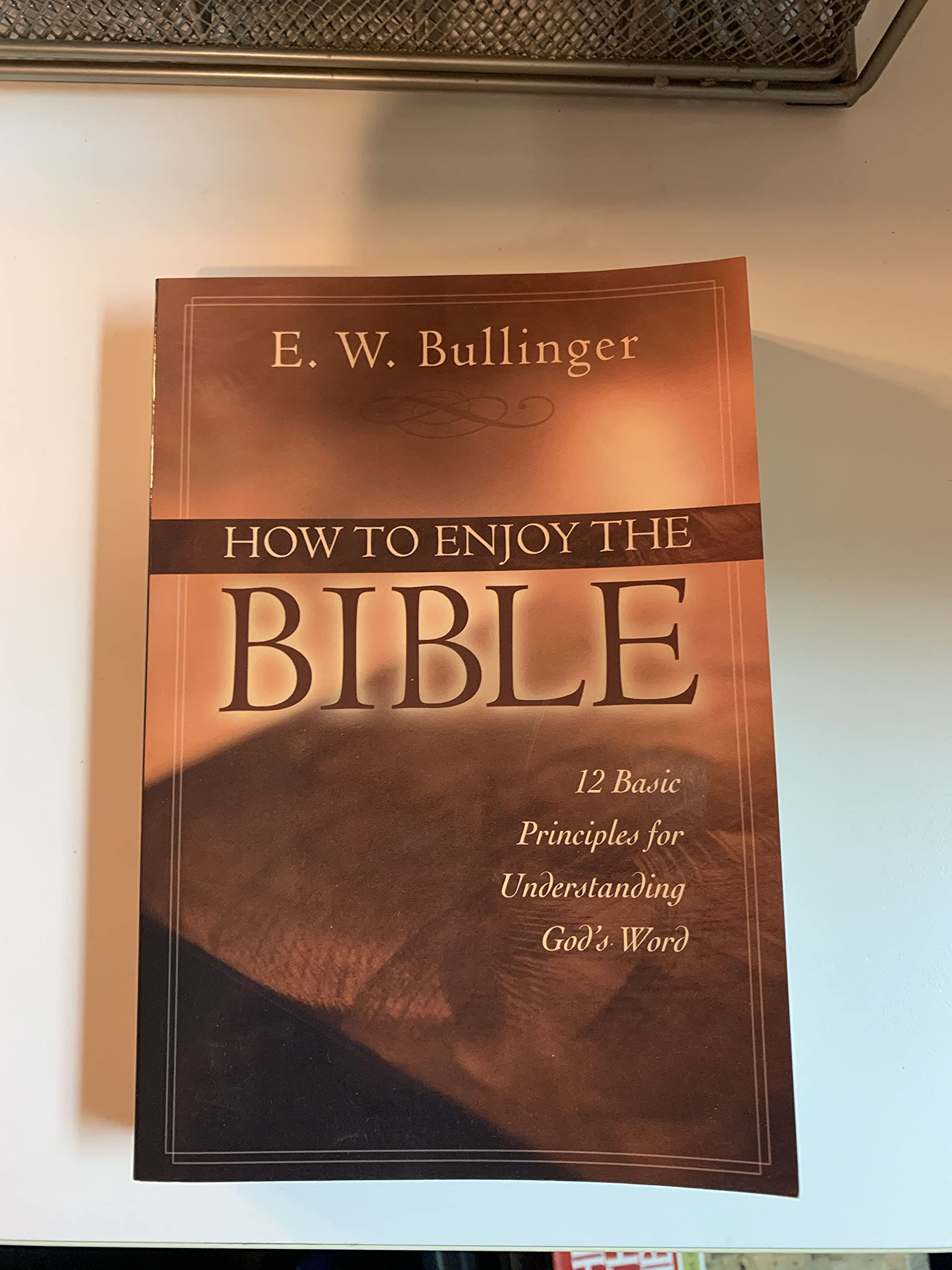 How to Enjoy the Bible: 12 Basic Principles for Understanding God's Word,Used