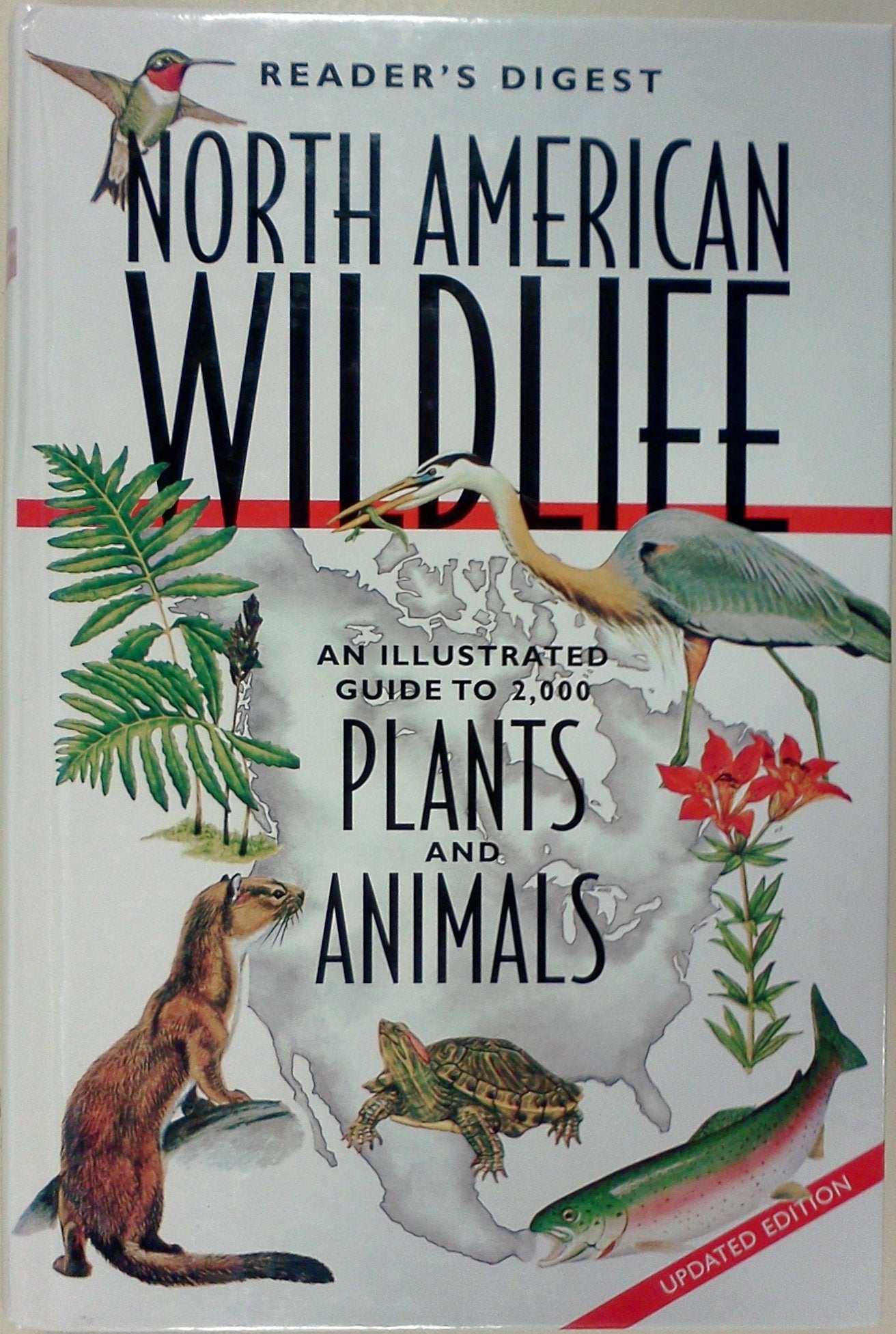 North American Wildlife (revised and updated),Used