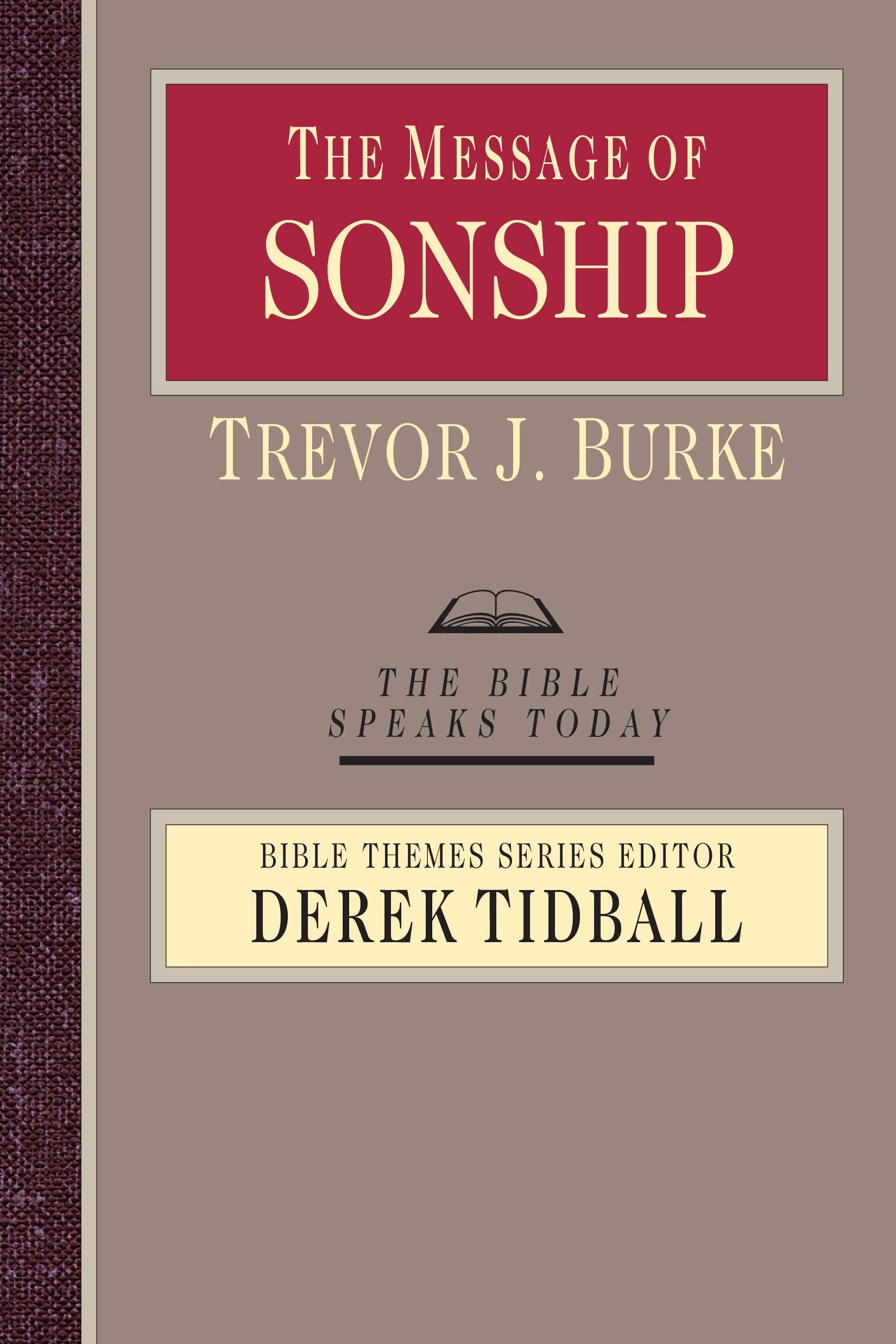 The Message Of Sonship (The Bible Speaks Today Bible Themes Series),New