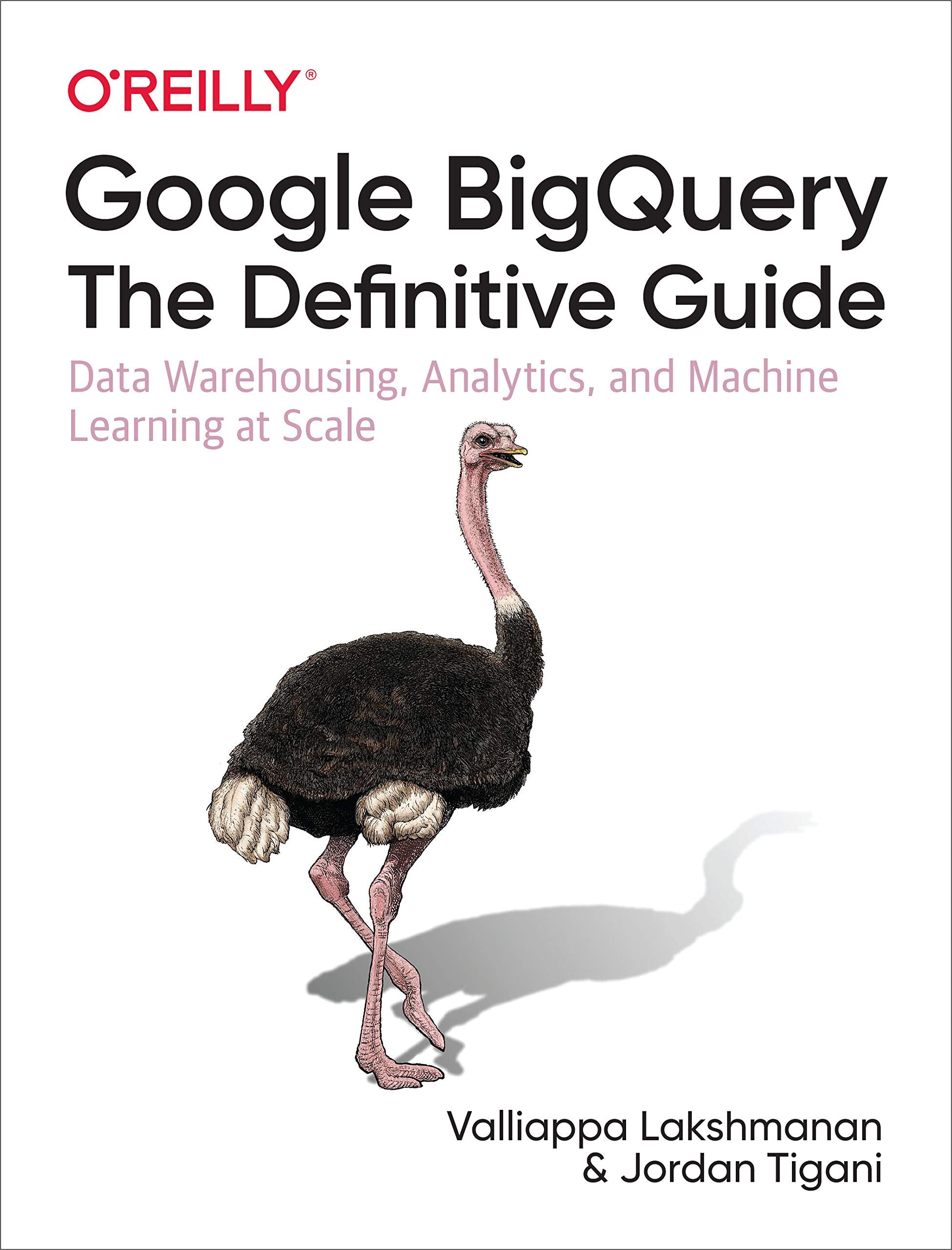 Google BigQuery: The Definitive Guide: Data Warehousing, Analytics, and Machine Learning at Scale,New