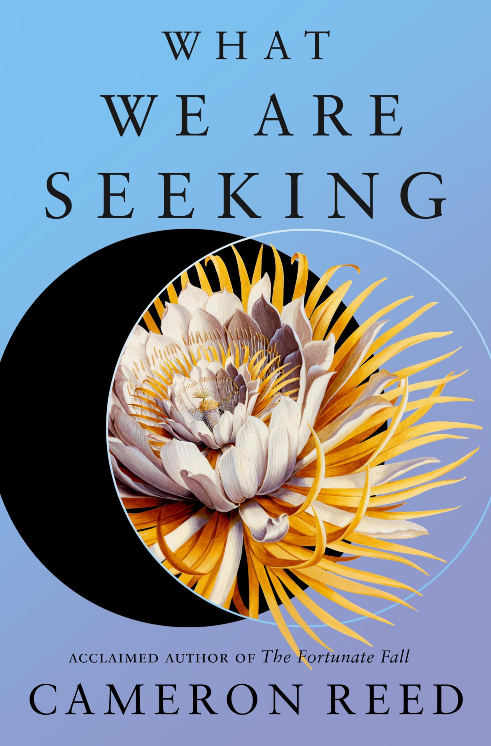 What We Are Seeking
