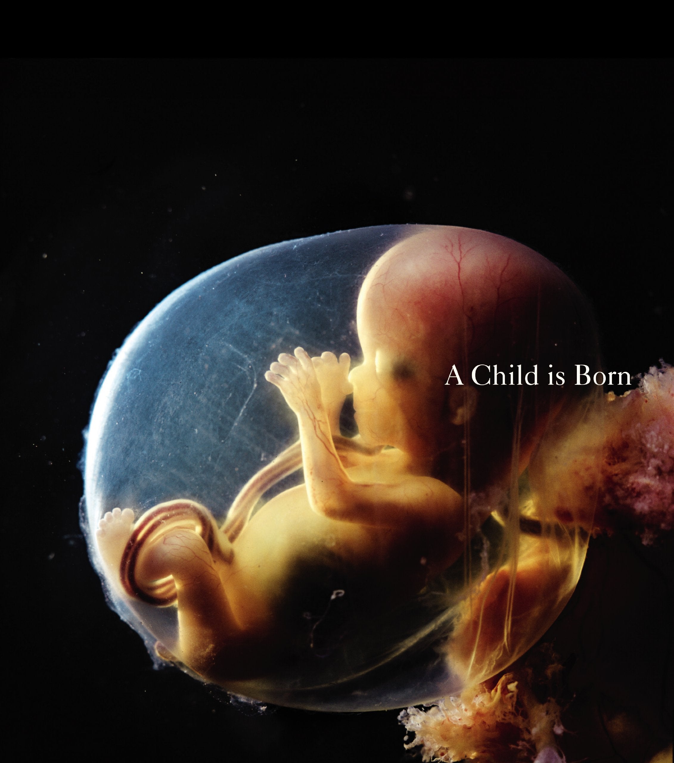 A Child is Born,Used