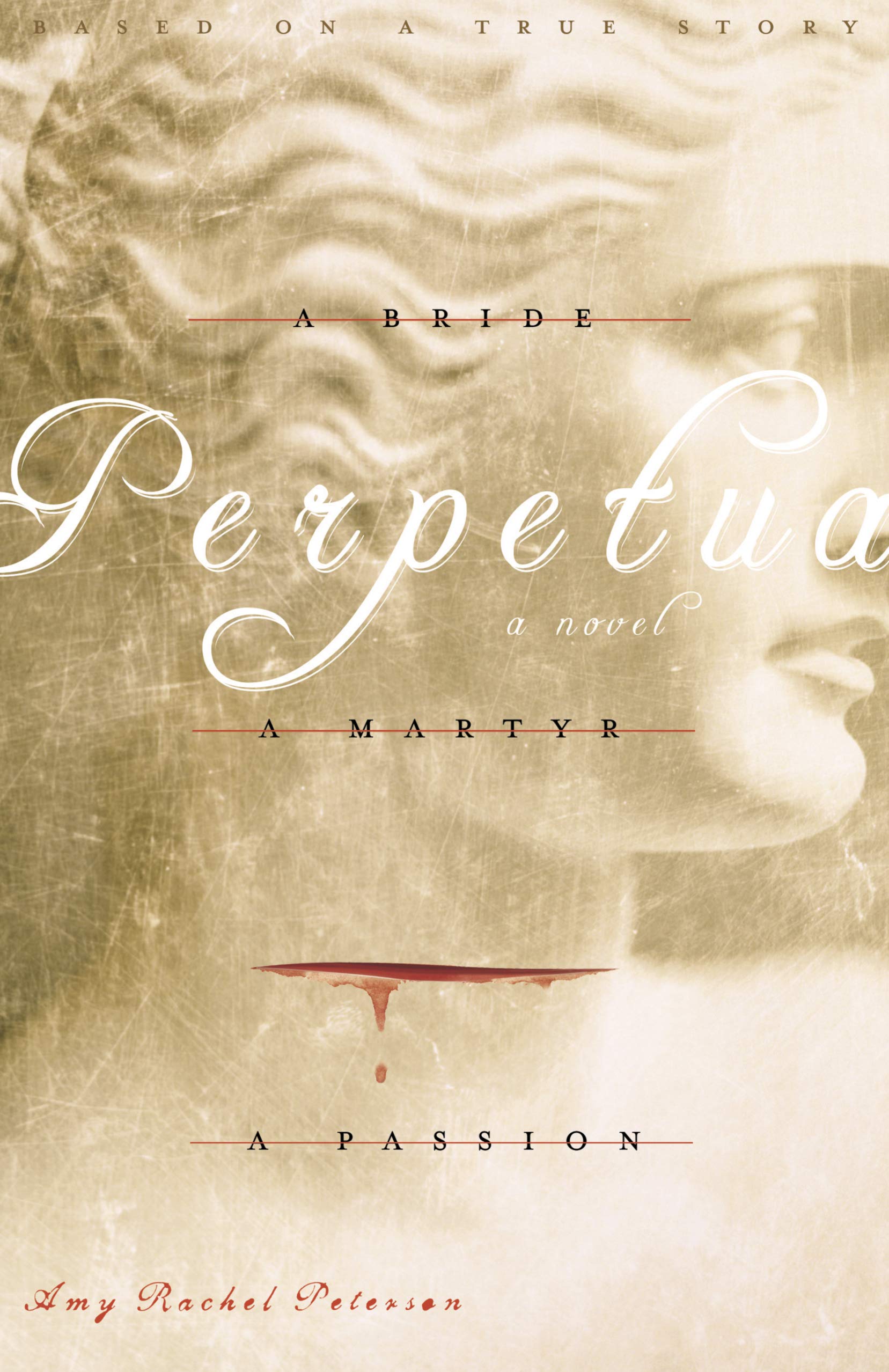 Perpetua: A Bride, a Martyr, a Passion,Used
