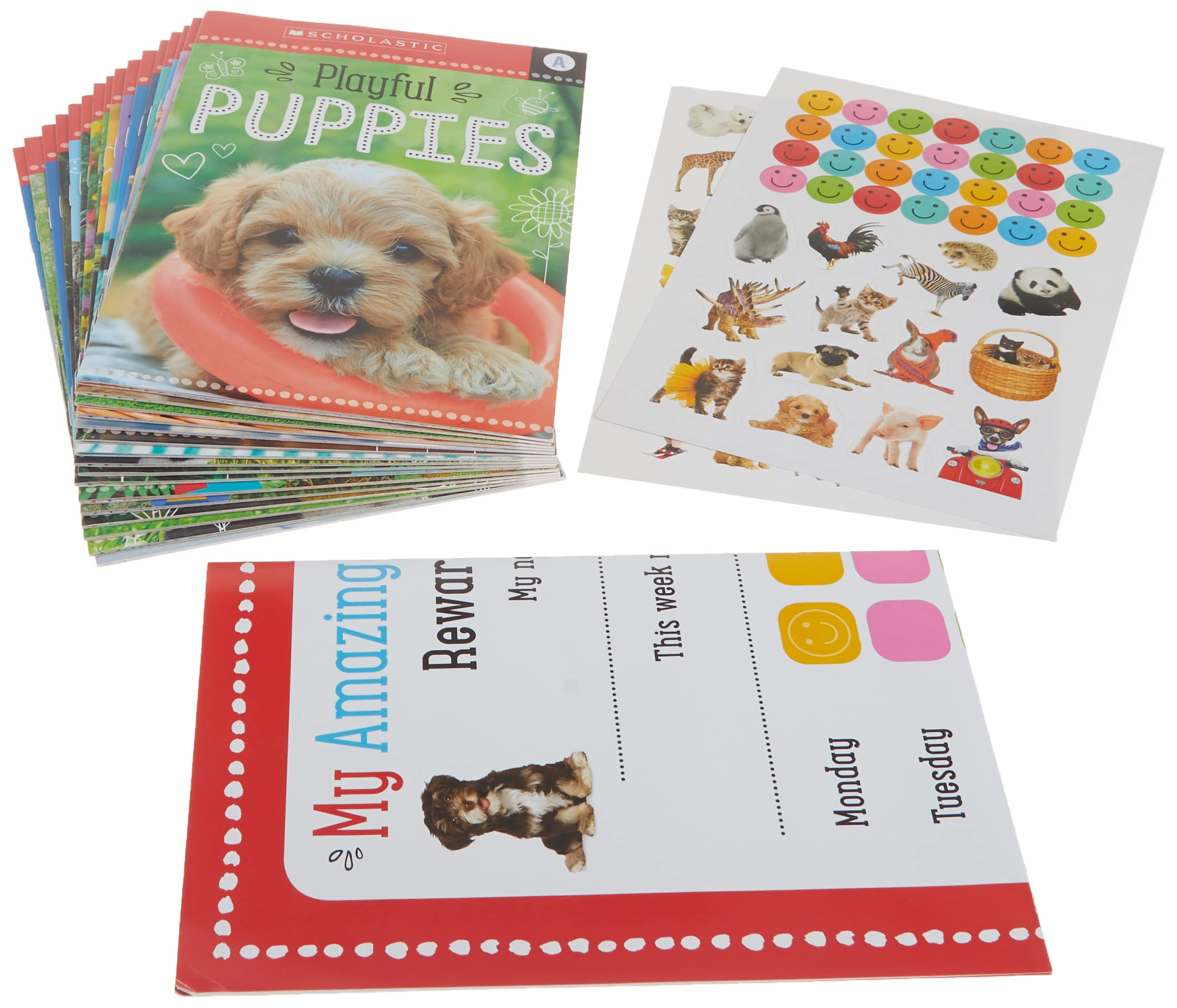 Amazing Animals Ad Kindergarten Box Set: Scholastic Early Learners (Guided Reader)