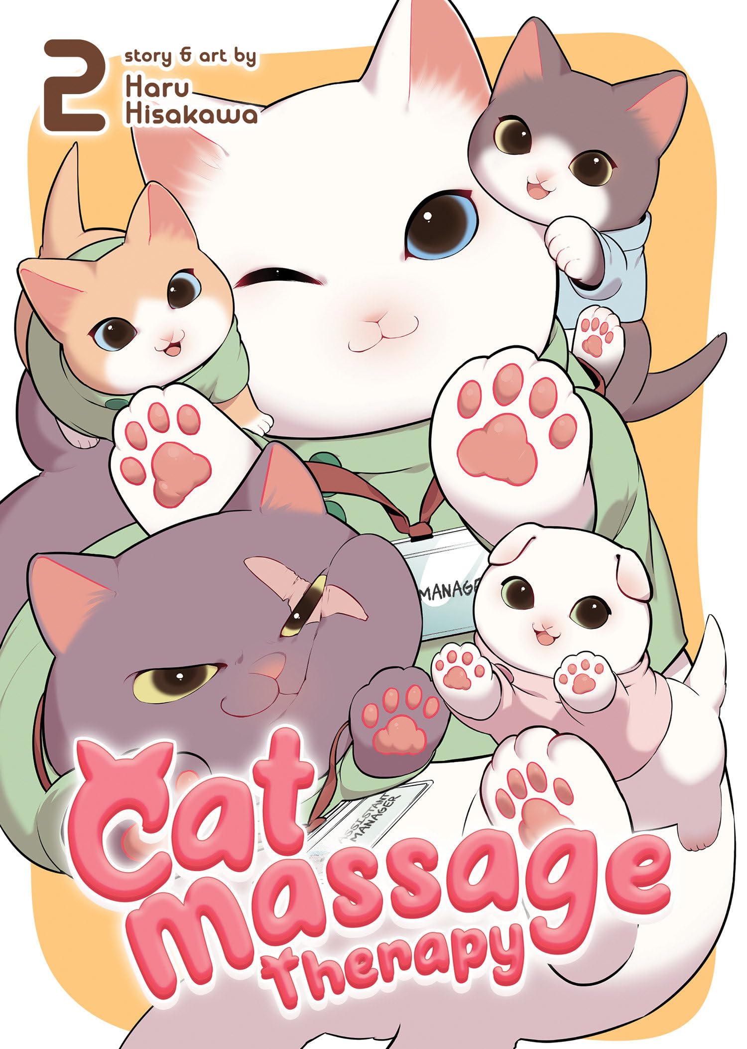 Cat Massage Therapy Vol. 2,Used
