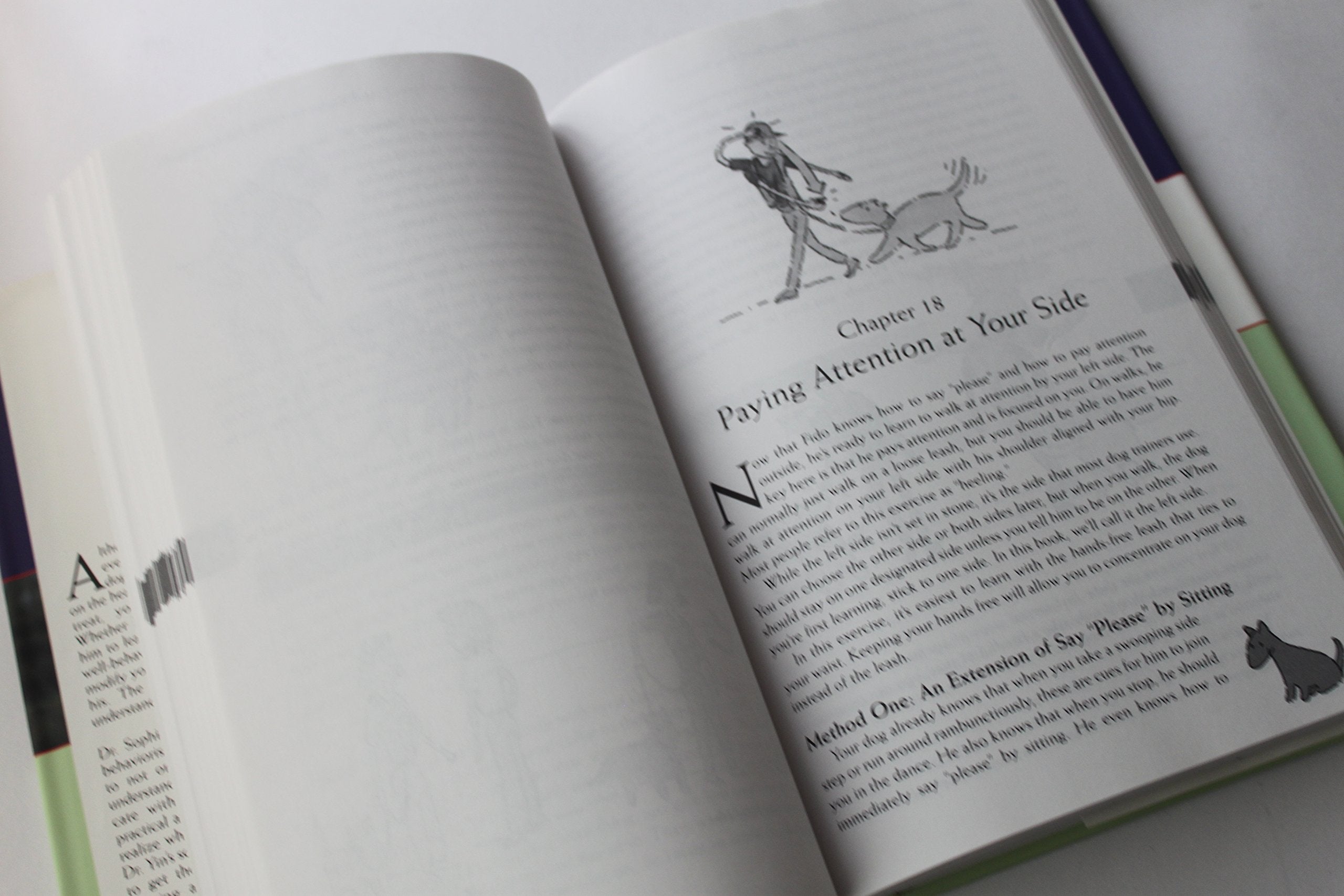 How To Behave So Your Dog Behaves
