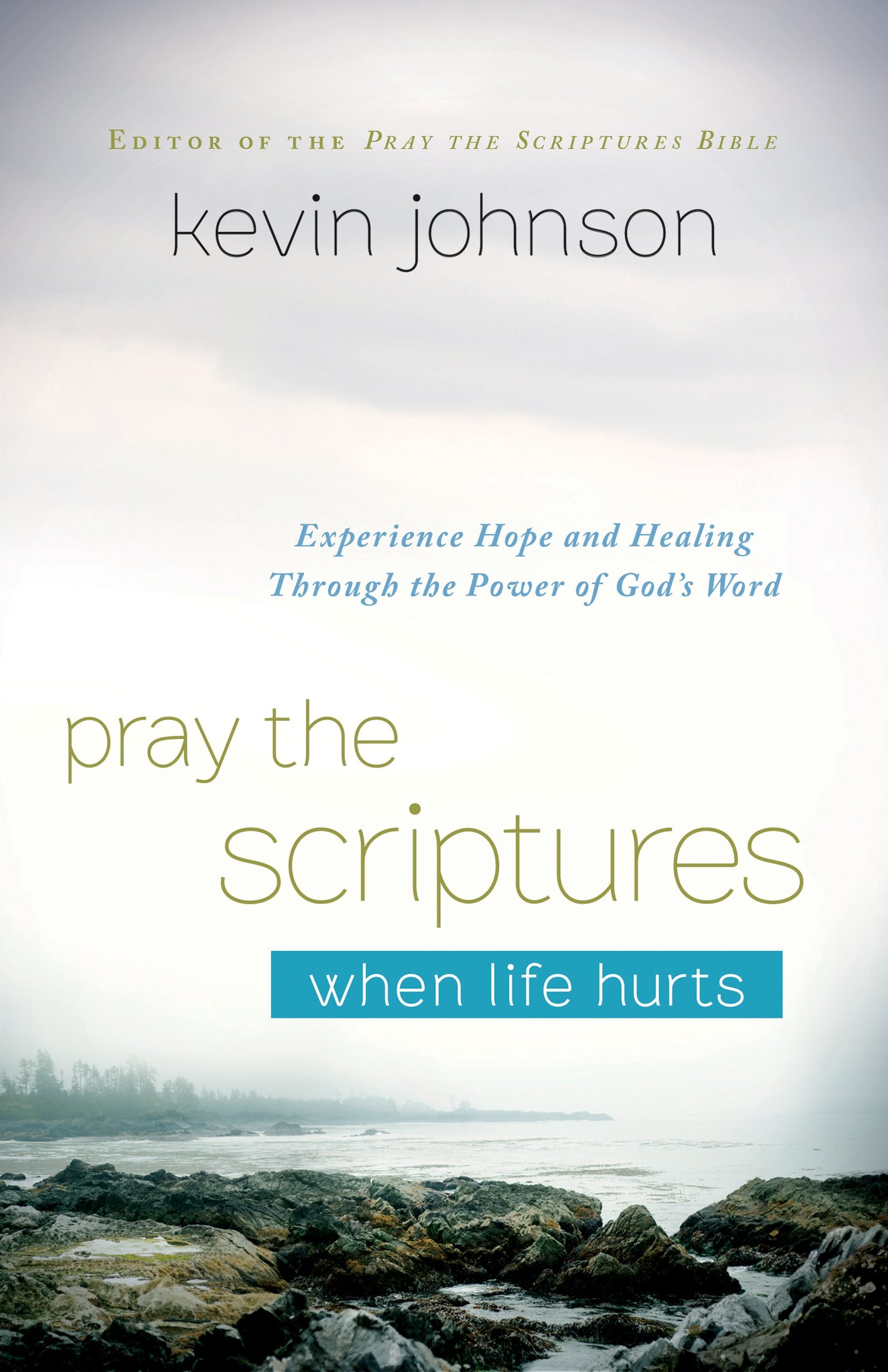 Pray the Scriptures When Life Hurts: Experience Hope and Healing Through the Power of God's Word,Used