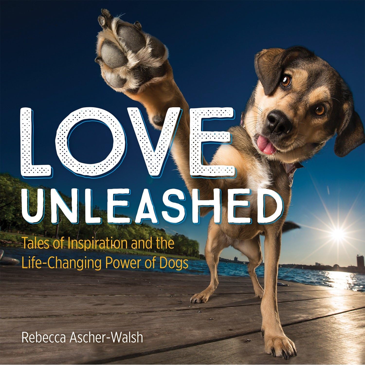 Love Unleashed: Tales of Inspiration and the LifeChanging Power of Dogs,Used