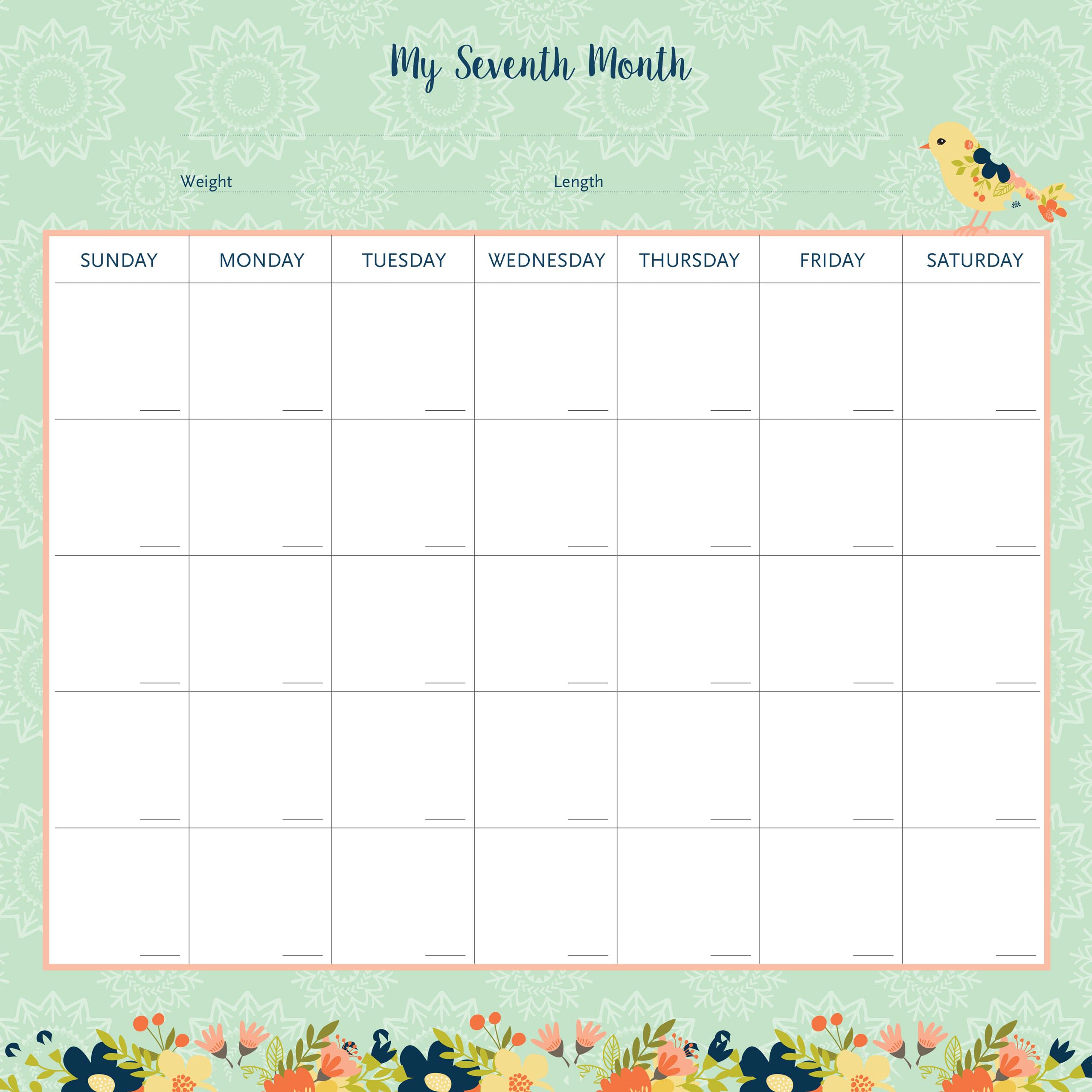 My Life as a Baby: A FirstYear Calendar (Birds),Used