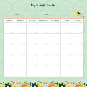 My Life as a Baby: A FirstYear Calendar (Birds),Used
