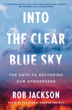 Into the Clear Blue Sky: The Path to Restoring Our Atmosphere,New