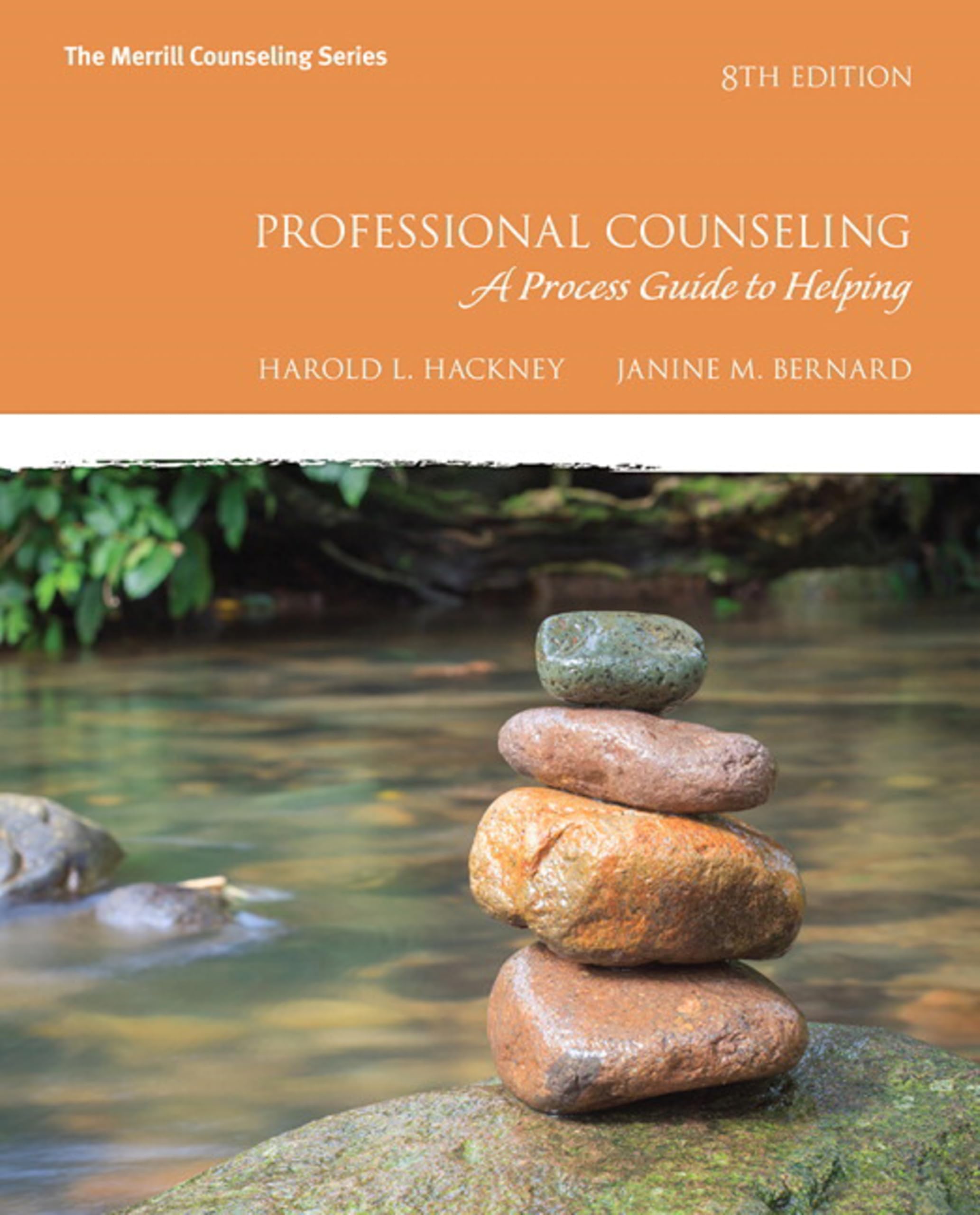 Professional Counseling: A Process Guide to Helping,Used
