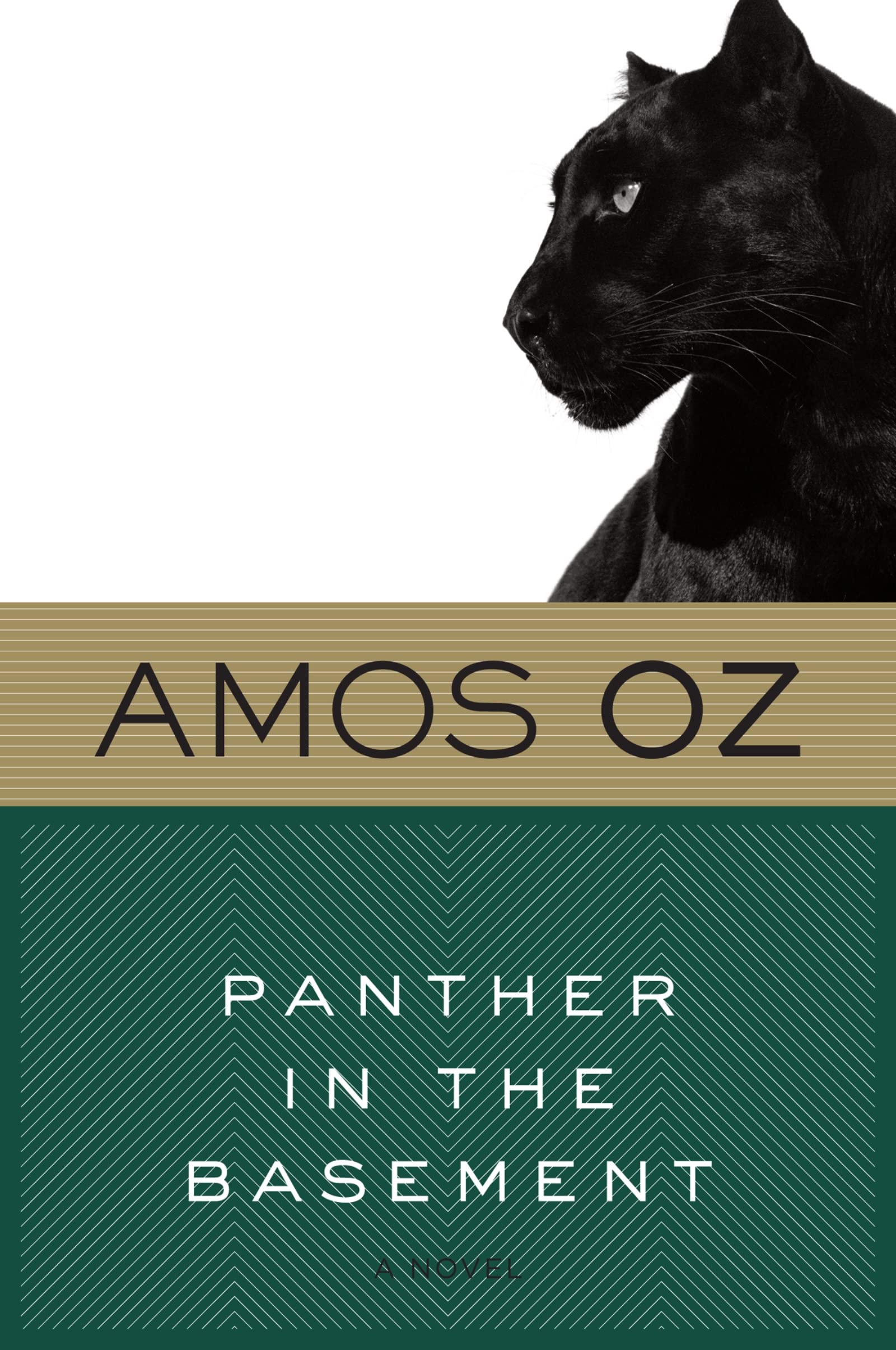 Panther in the Basement,Used