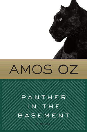 Panther in the Basement,Used