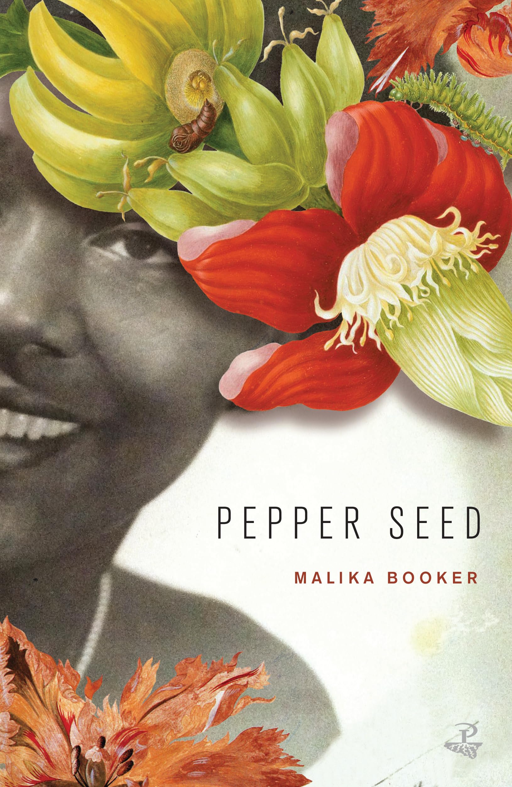 Pepper Seed,Used