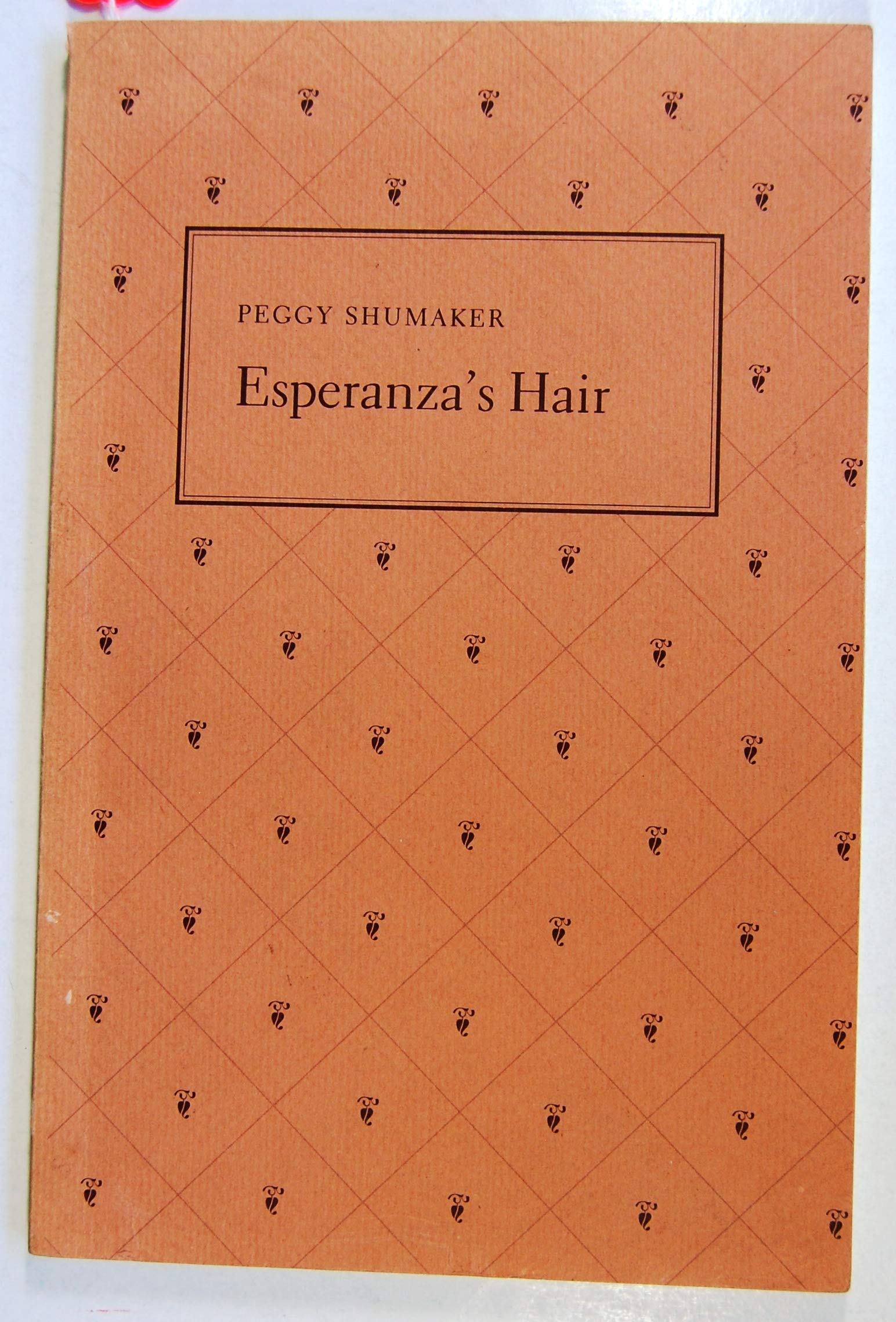 Esperanza's Hair,Used