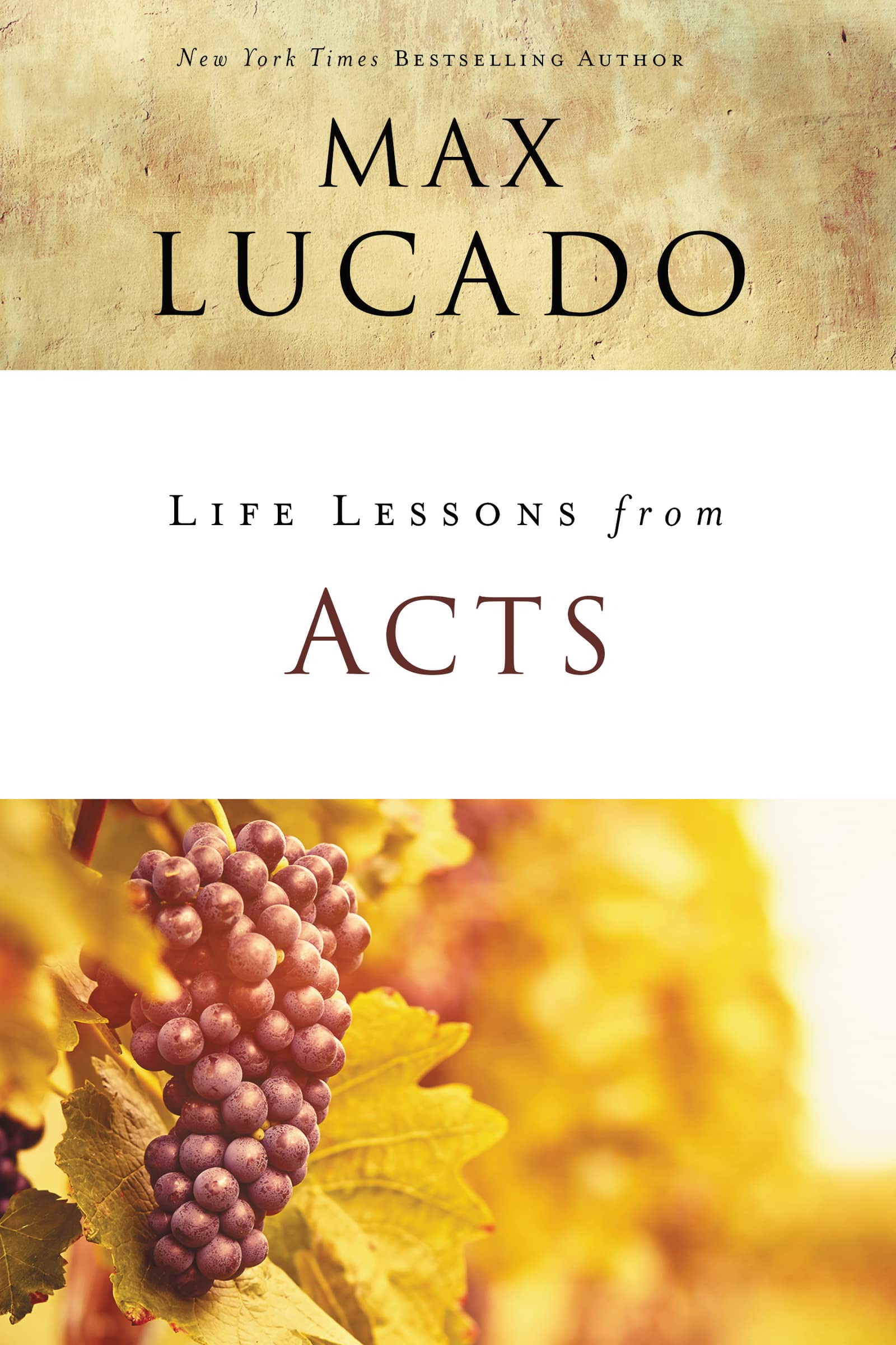 Life Lessons from Acts: Christ's Church in the World,Used