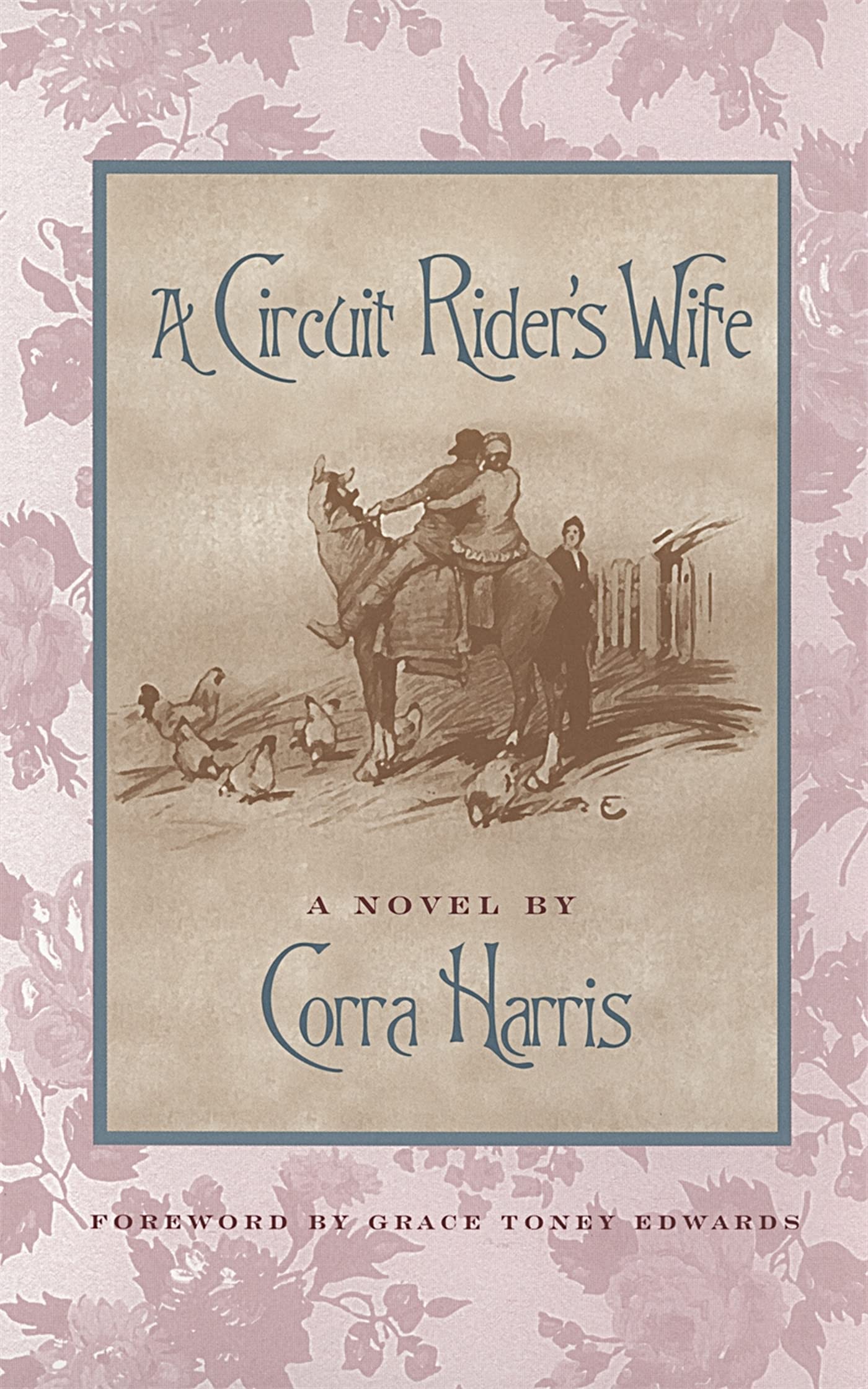 A Circuit Rider'S Wife: A Novel (Brown Thrasher Books),Used
