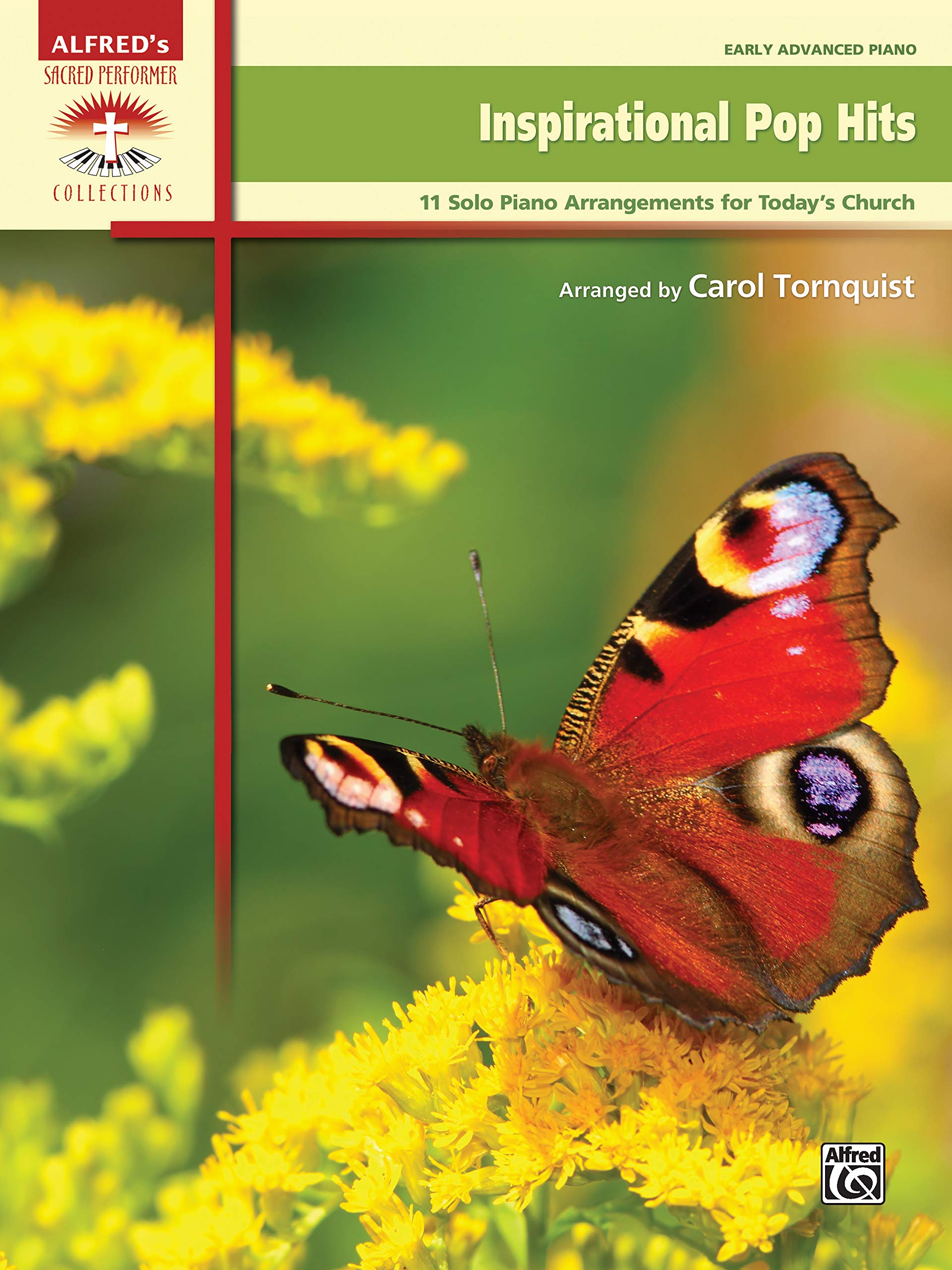 Inspirational Pop Hits: 11 Solo Piano Arrangements for Today's Church (Sacred Performer Collections),Used
