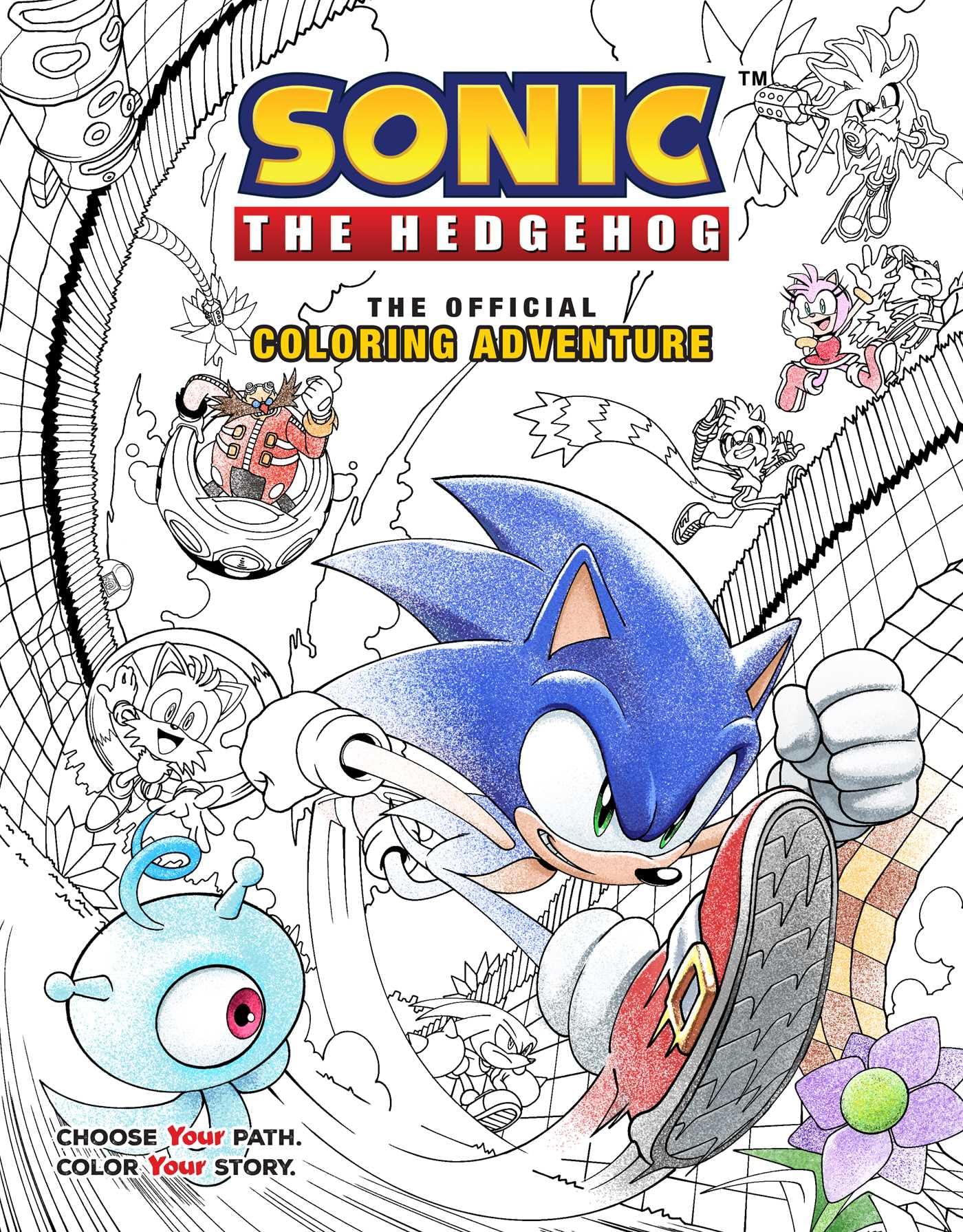 Sonic The Hedgehog: The Official Coloring Adventure