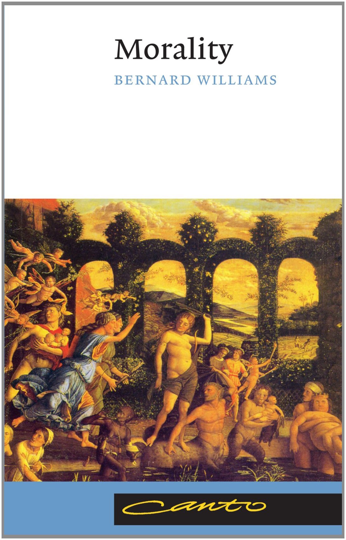 Morality: An Introduction to Ethics (Canto),Used