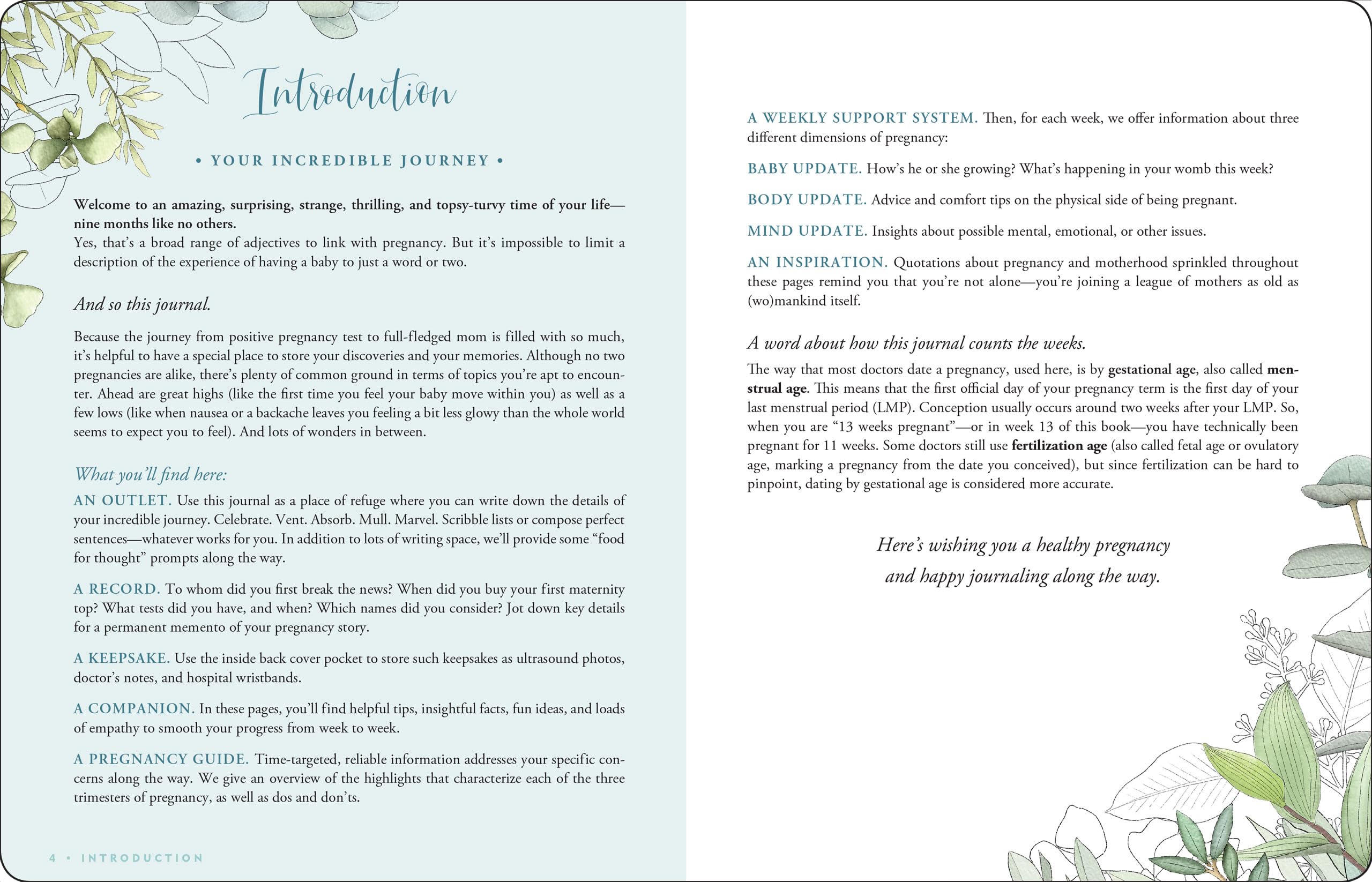 Pregnancy Journal: A WeekByWeek Guide to a Happy, Healthy Pregnancy (Deluxe, Clothbound 3rd edition),Used