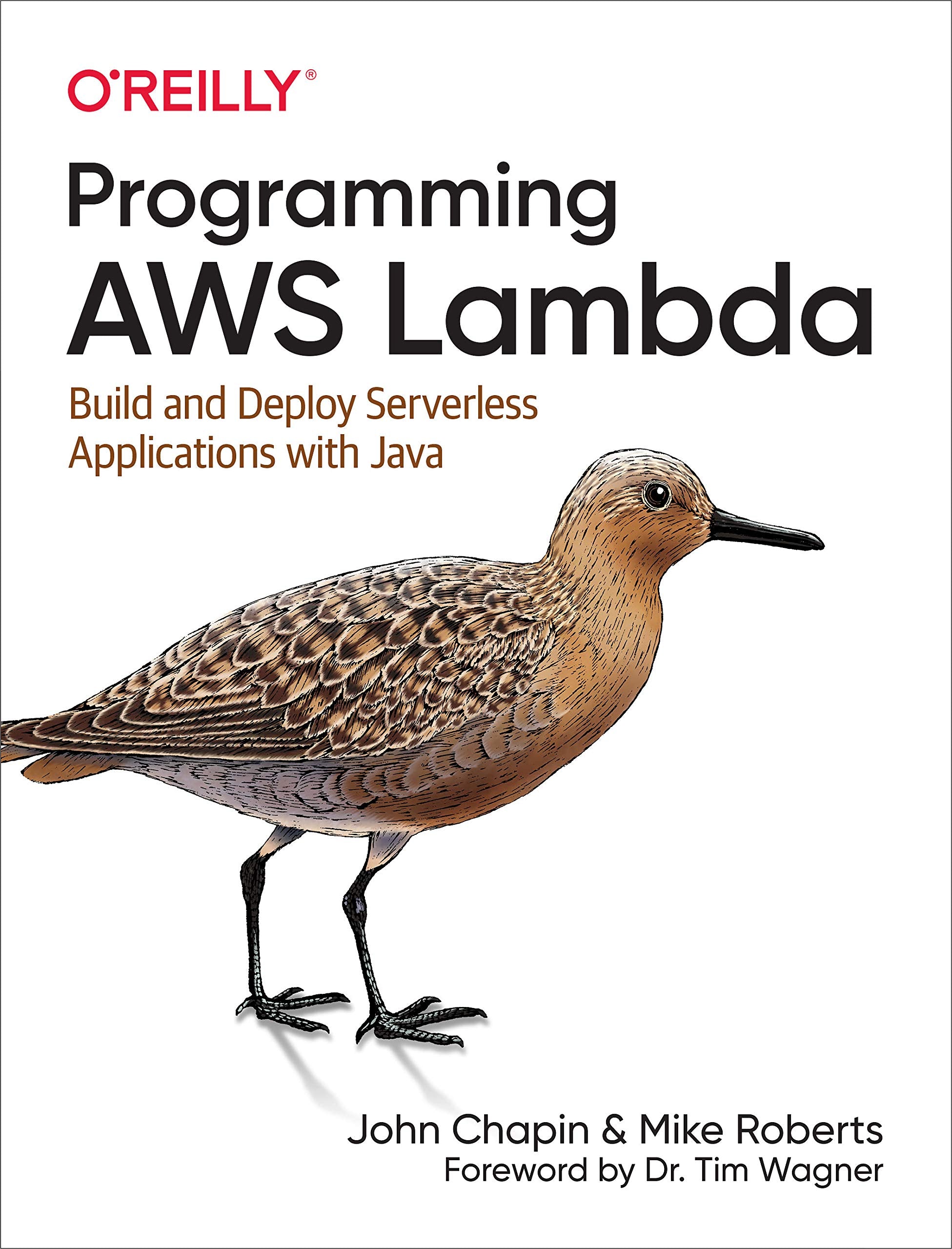 Programming AWS Lambda: Build and Deploy Serverless Applications with Java,Used